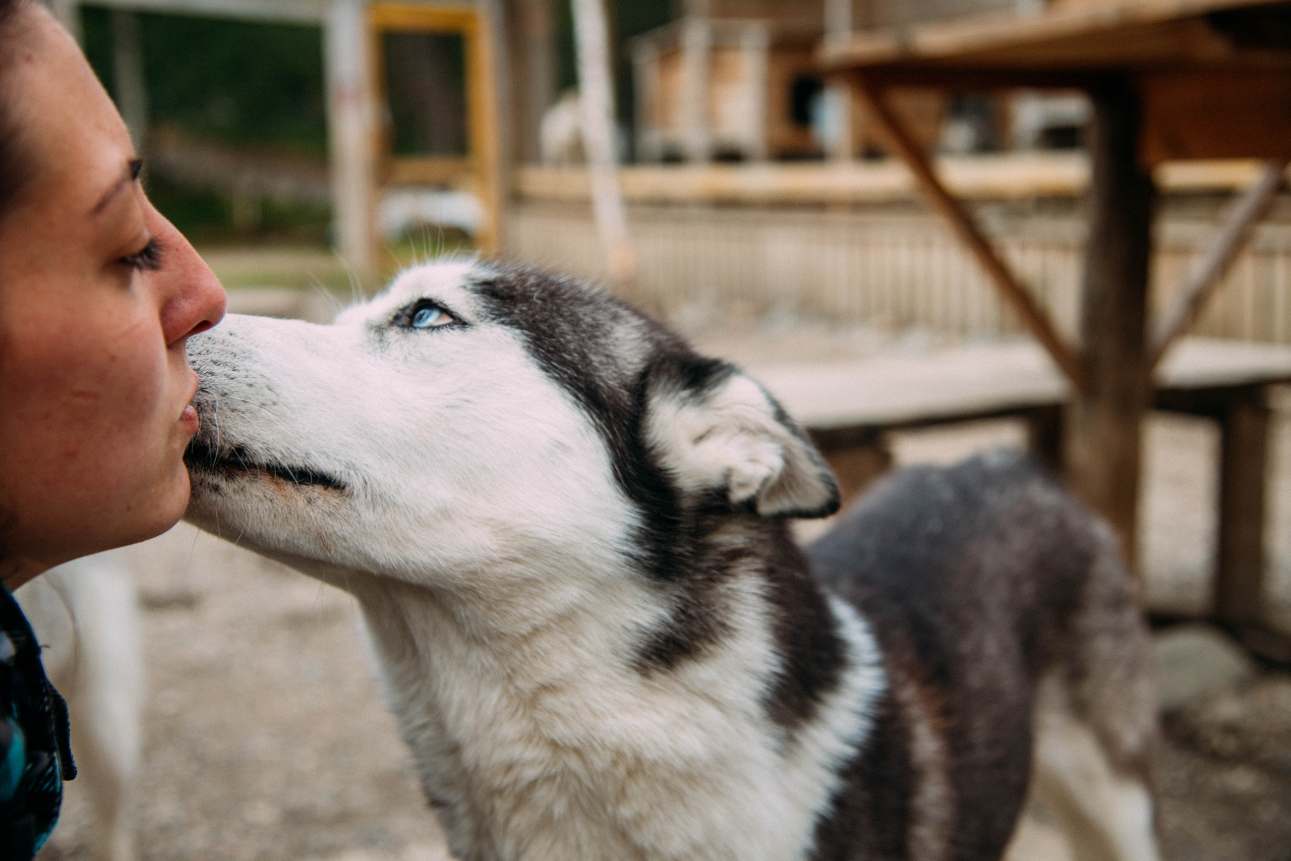 Кольский полуостров. Фотографирую для себя, своей семьи и друзей!