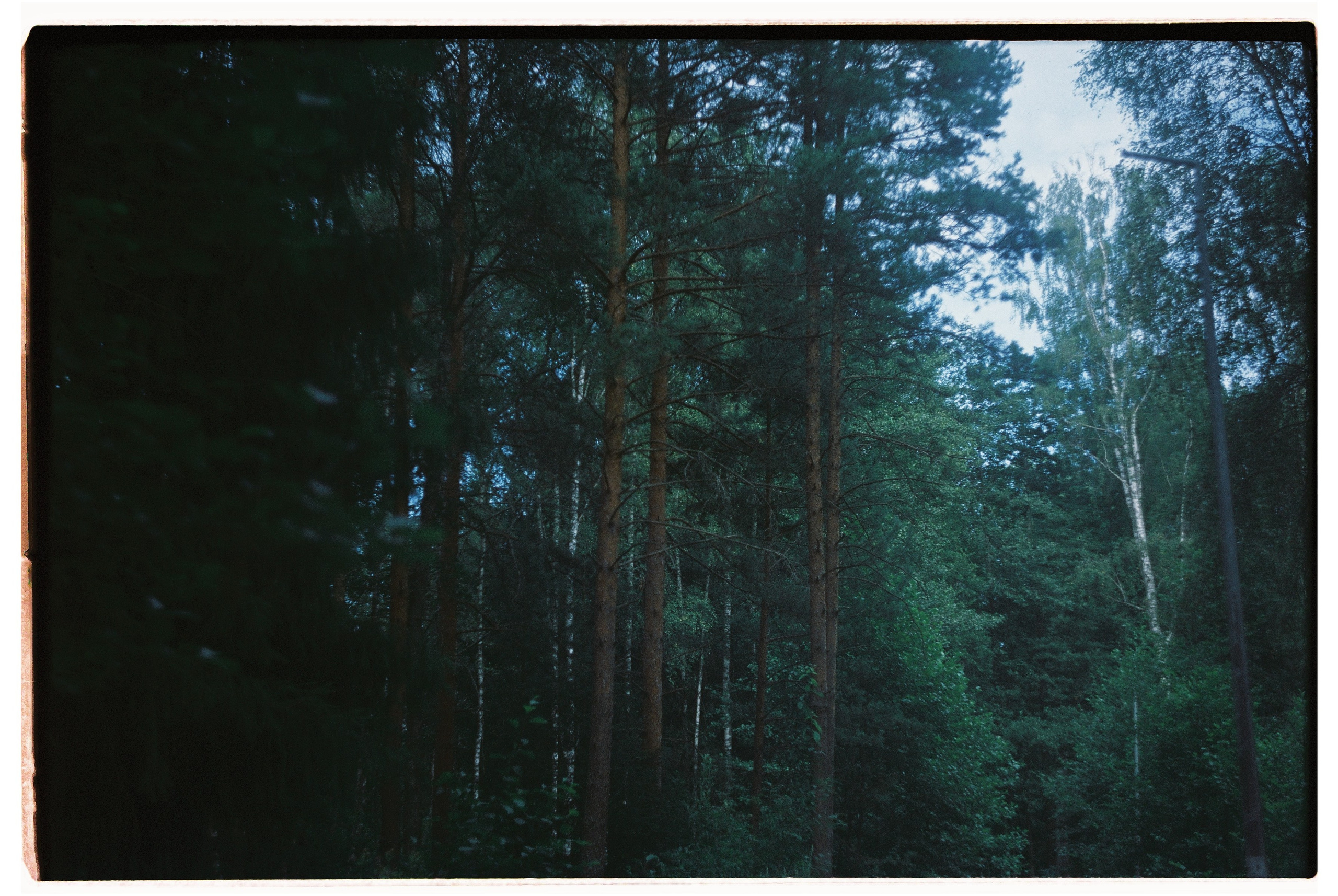 Пленочные кадры. Свадебный фотограф в Москве Кристина Чехова