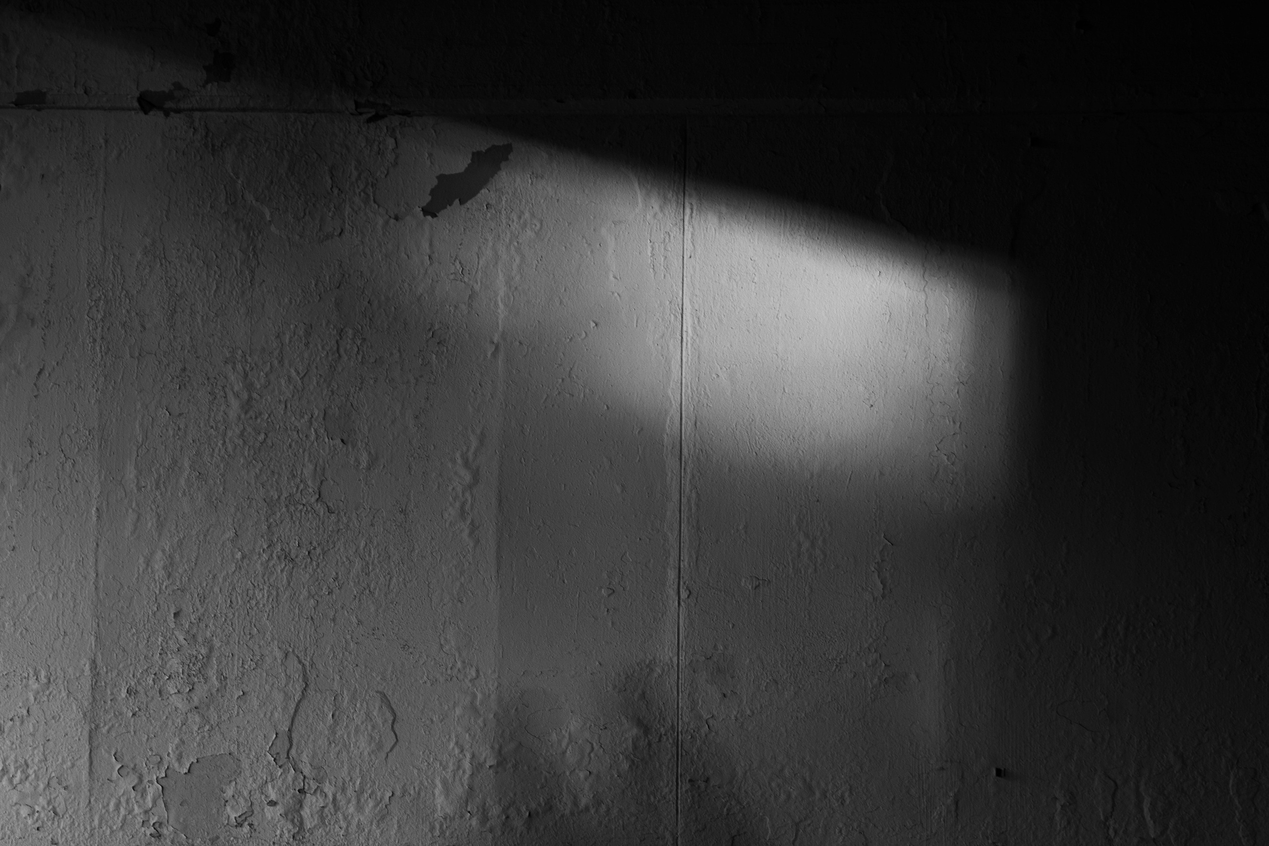 Разное неважное. Фотограф в Москве Алейникова Евгения