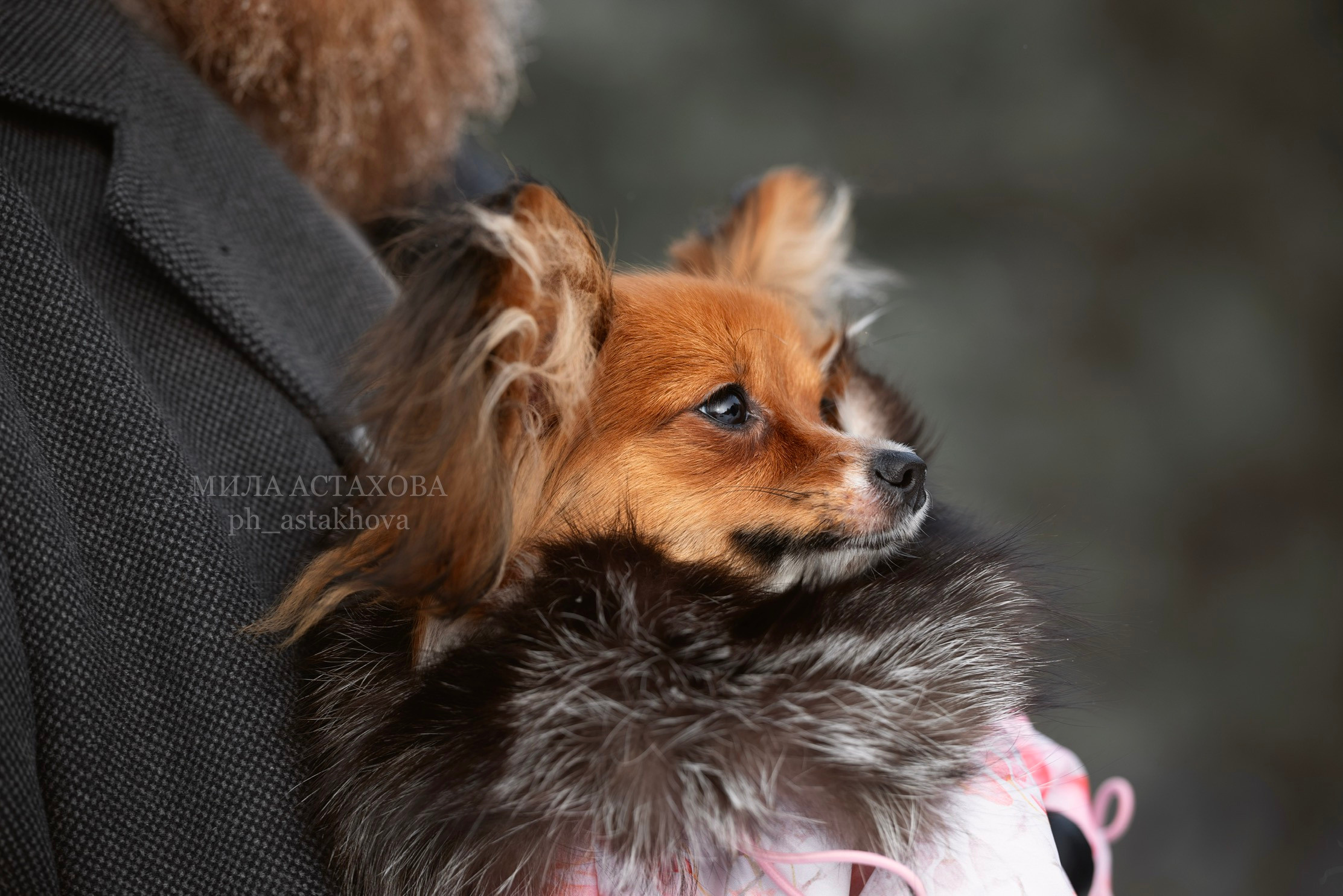 Анастасия, Артур и Тася. Мила Астахова