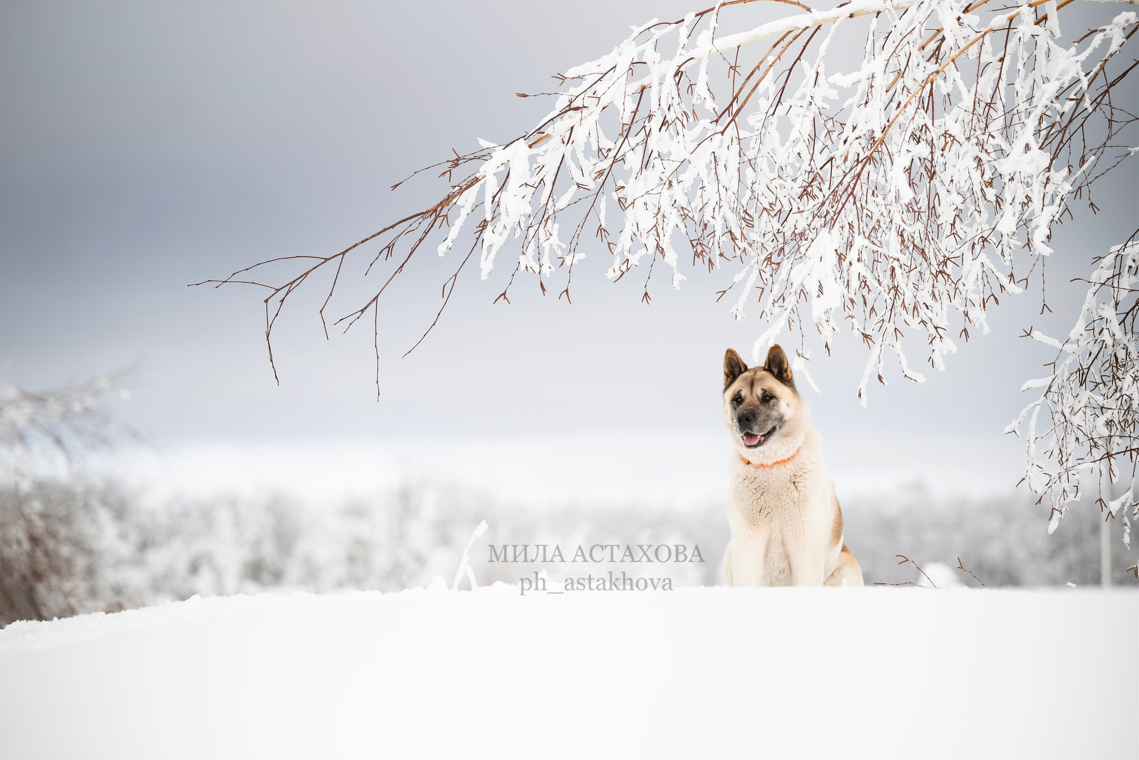 Юля, Дмитрий и Кита. Мила Астахова
