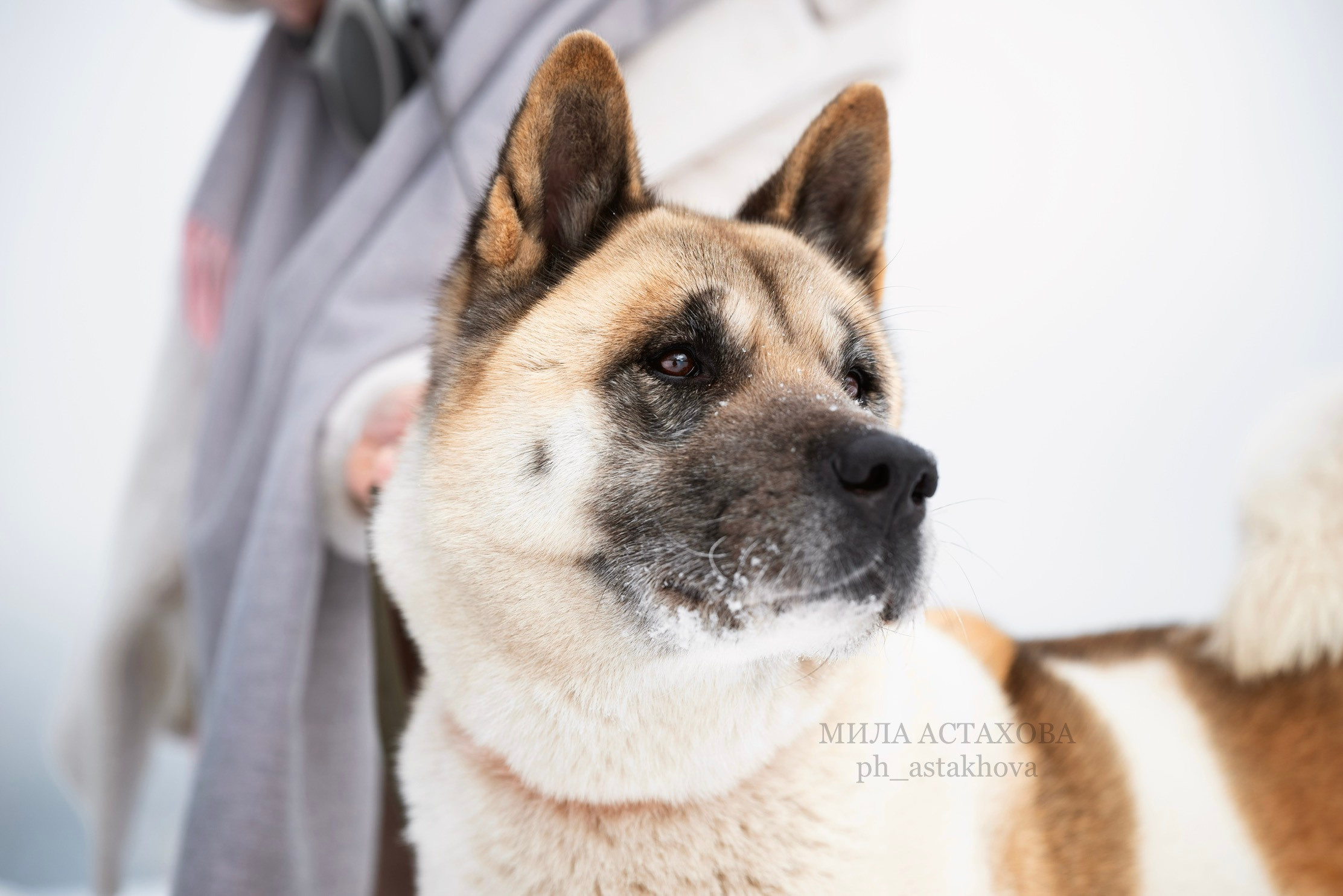 Юля, Дмитрий и Кита. Мила Астахова