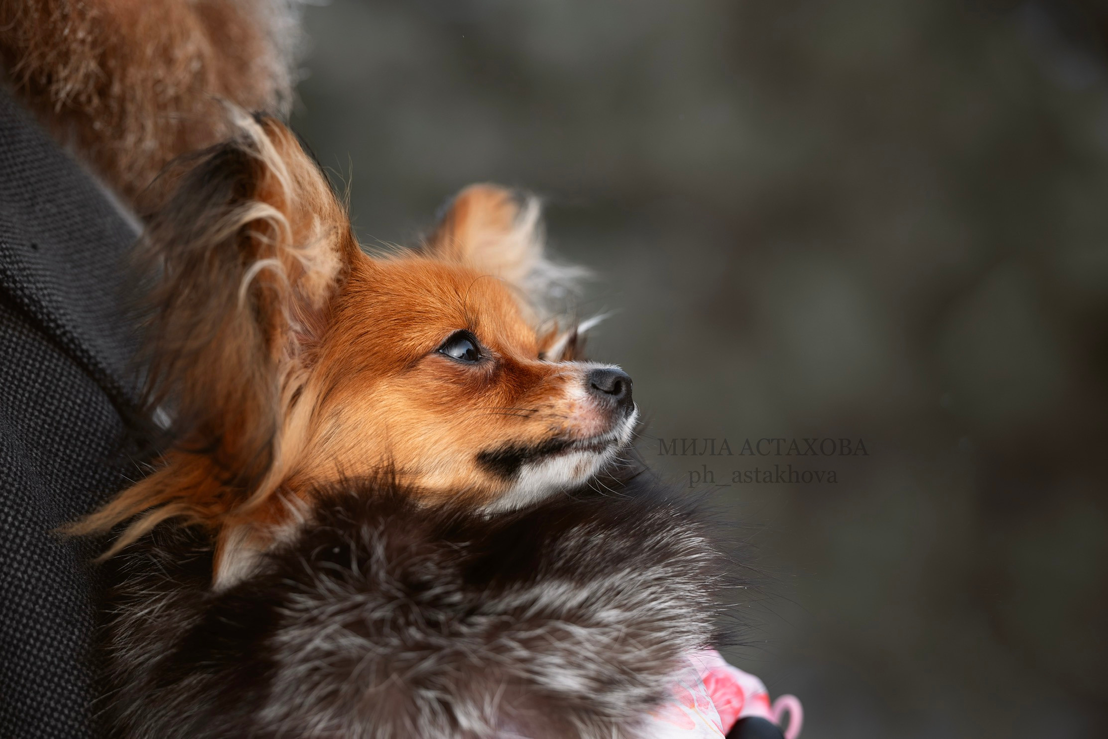 Анастасия, Артур и Тася. Мила Астахова