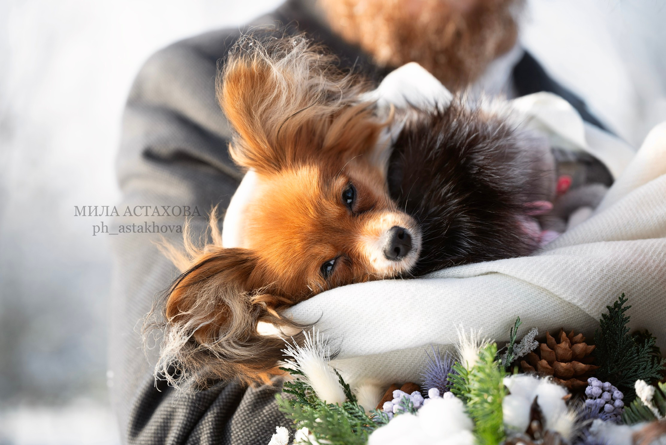 Анастасия, Артур и Тася. Мила Астахова