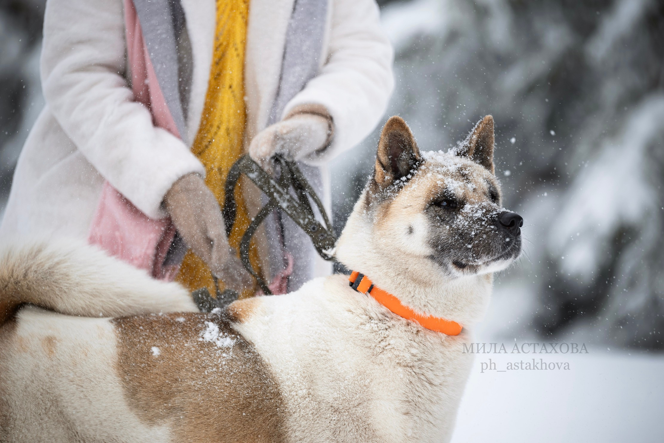 Юля, Дмитрий и Кита. Мила Астахова