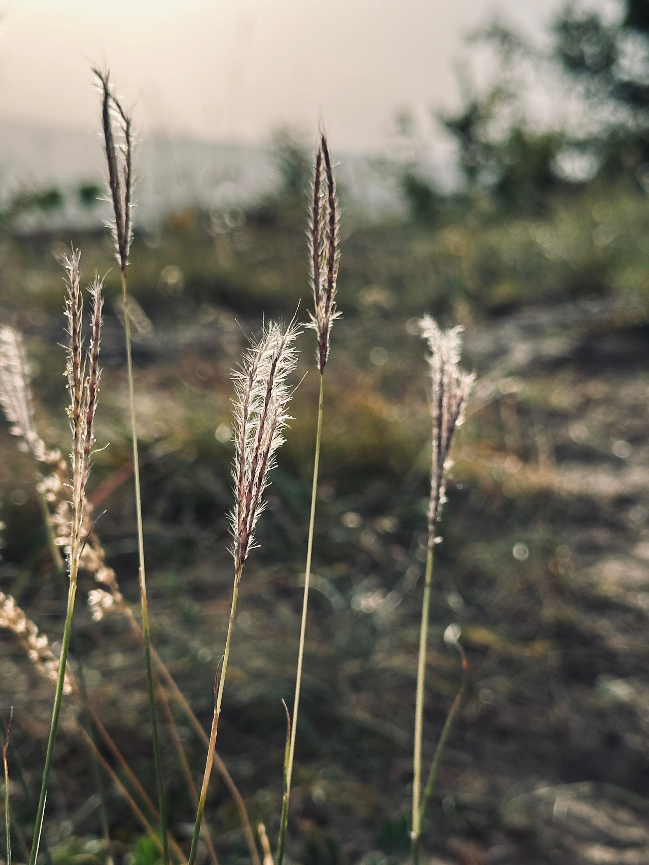 Флора и фауна. Смотри, красота!