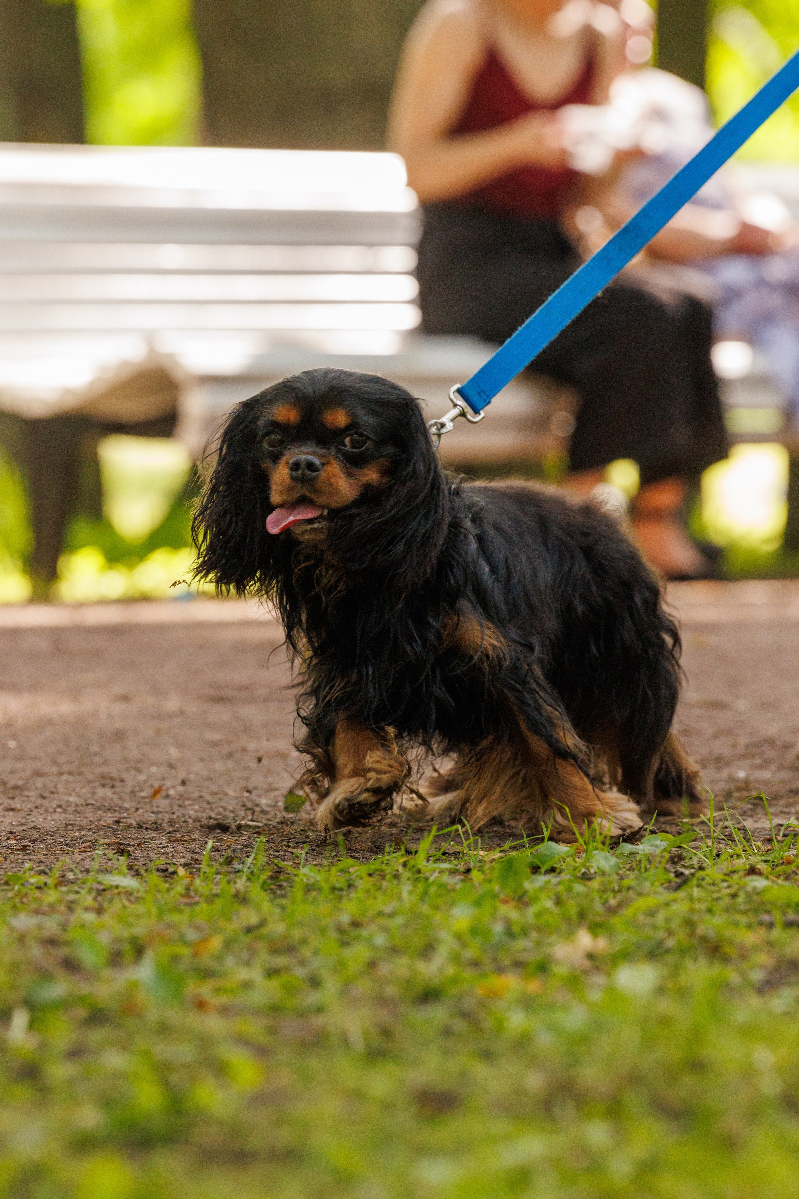 PetShopDays2026. Фотограф Александр Заломаев