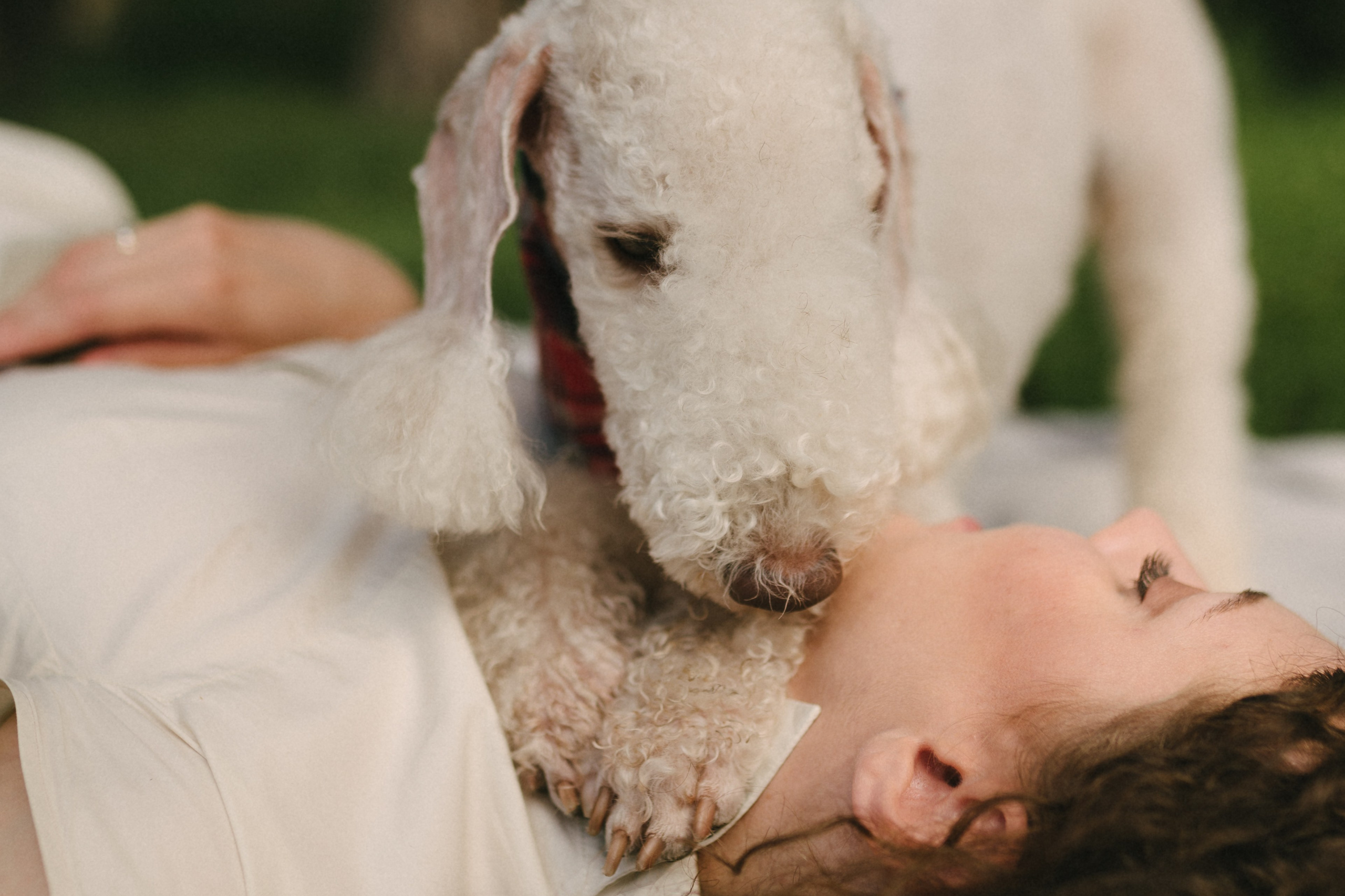 Лиза и Каспер. Фотограф анималист в Москве Ольга Агушева