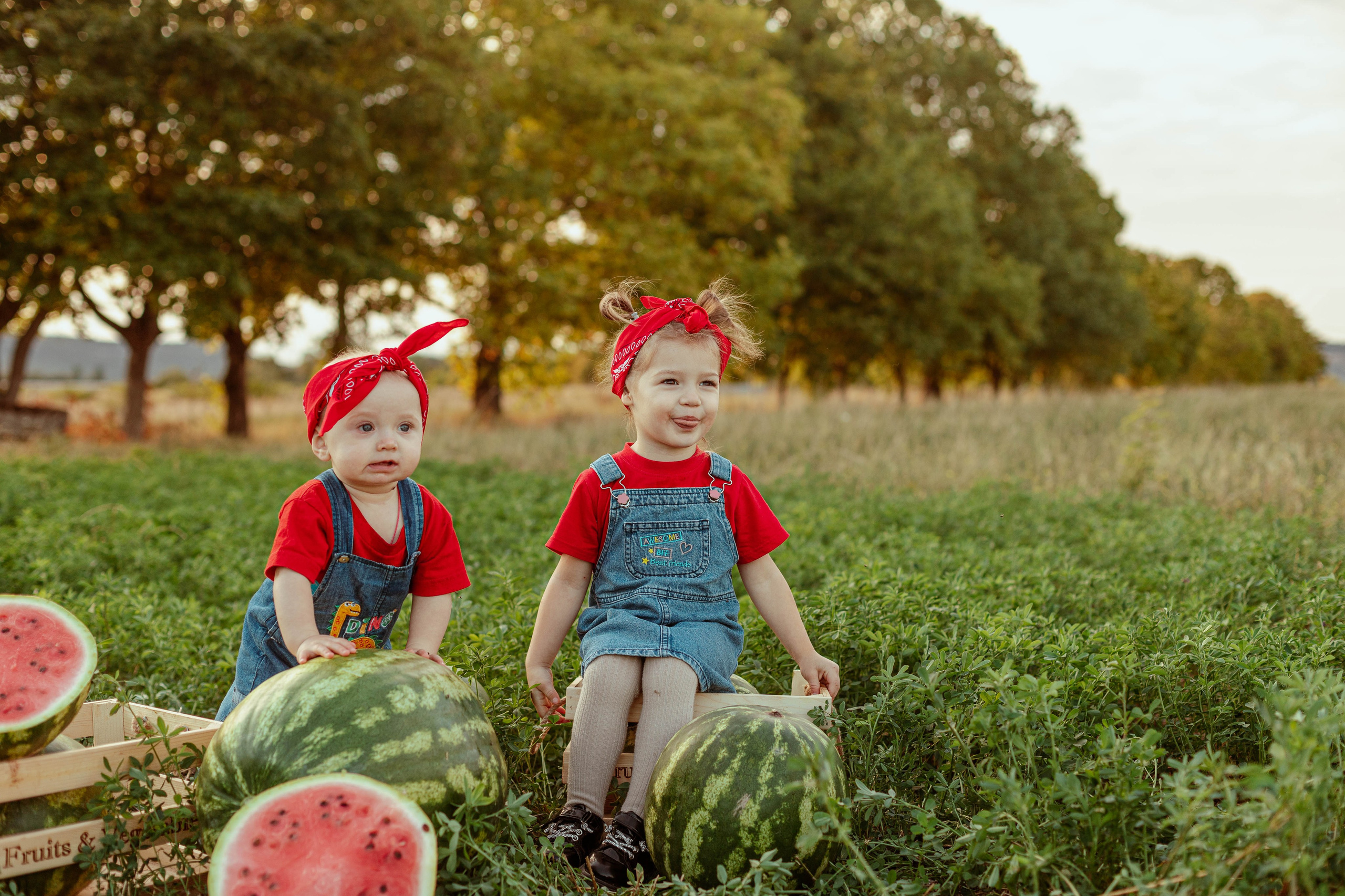 АРБУЗЫ. Семейный и детский фотограф в Крыму Екатерина Швец