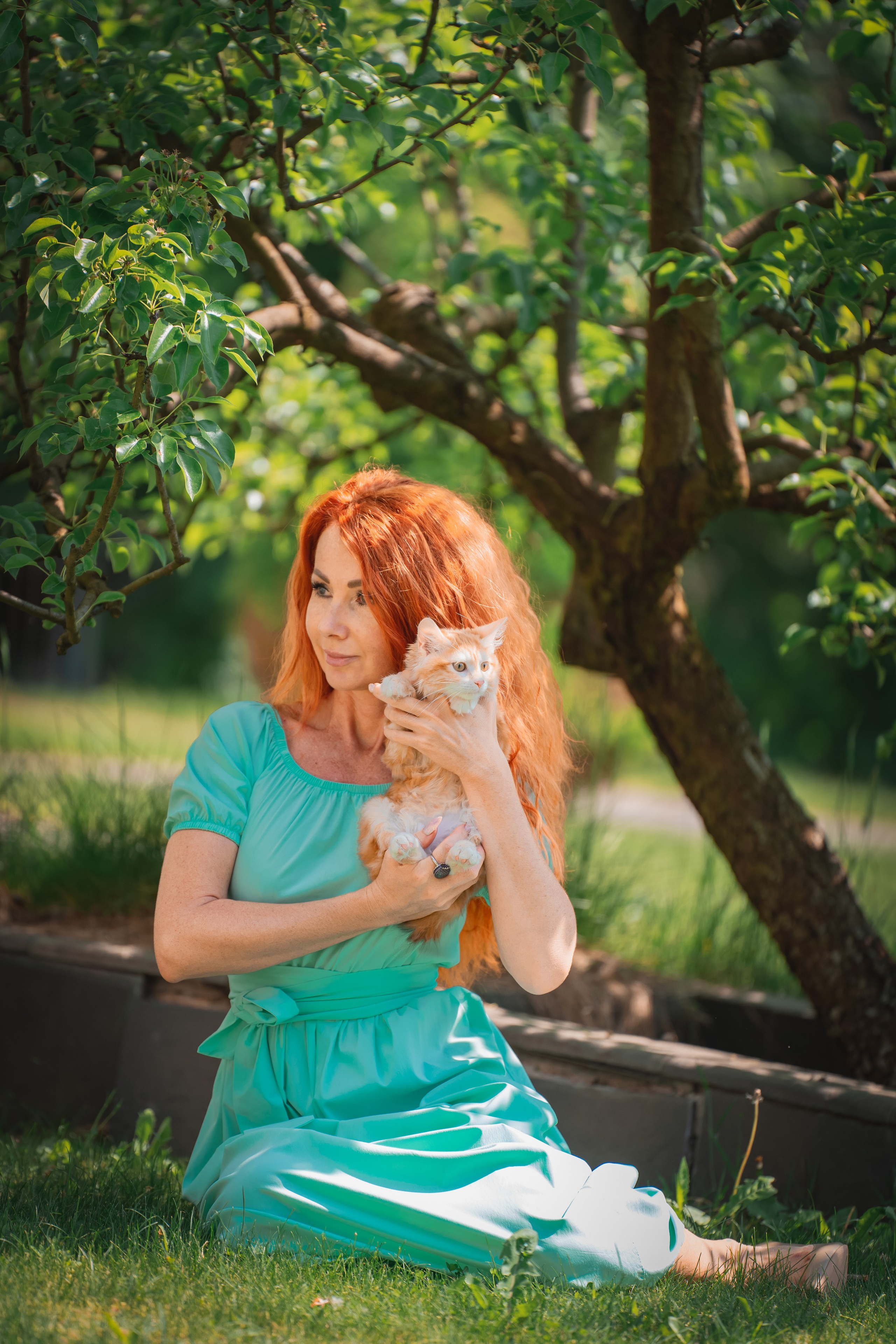 Питомник Курильских бобтейлов. Фотограф в Москве Ленарская Дарья