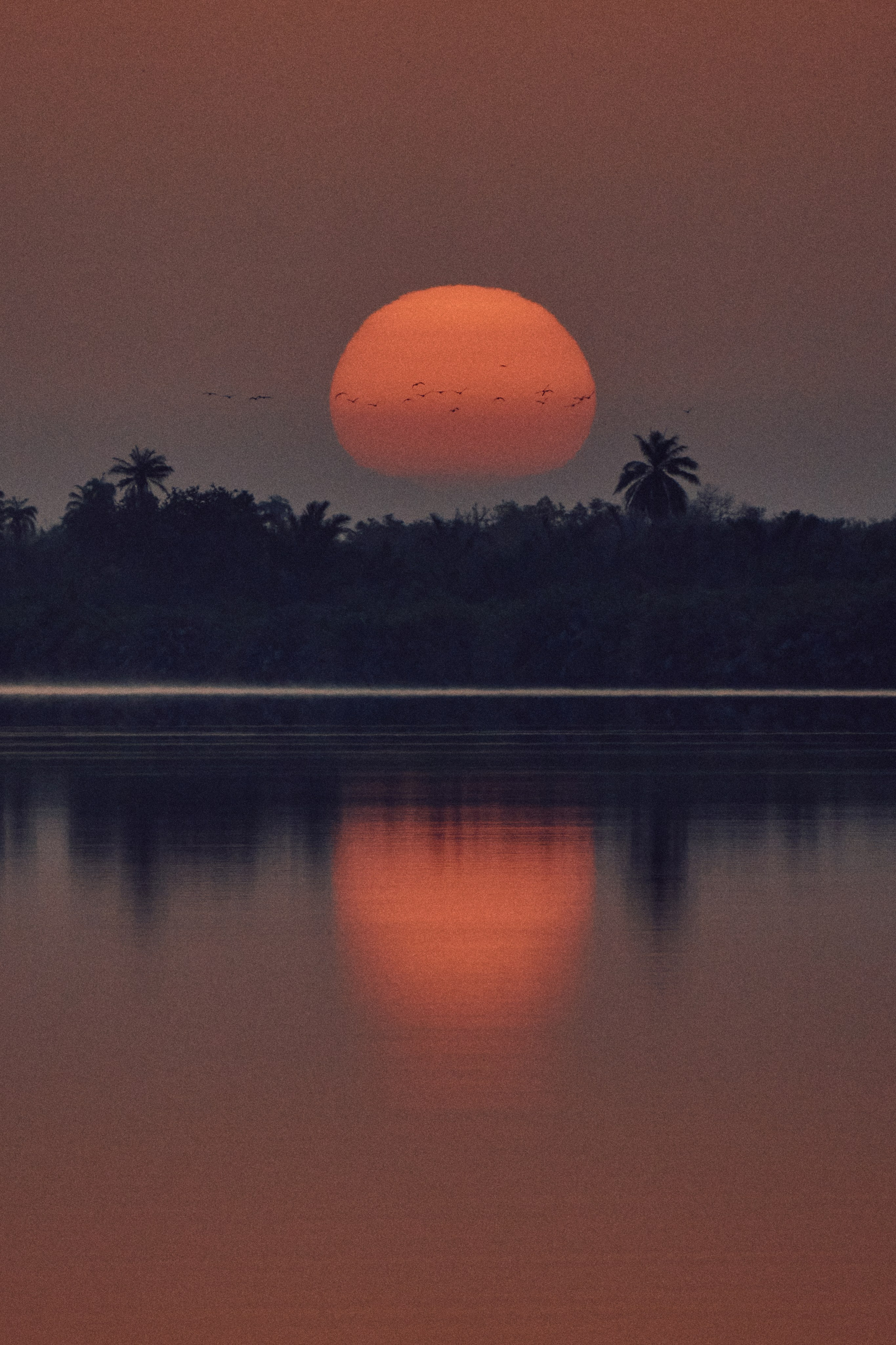 Gambia River. See the moment and catche. commercial and reportage