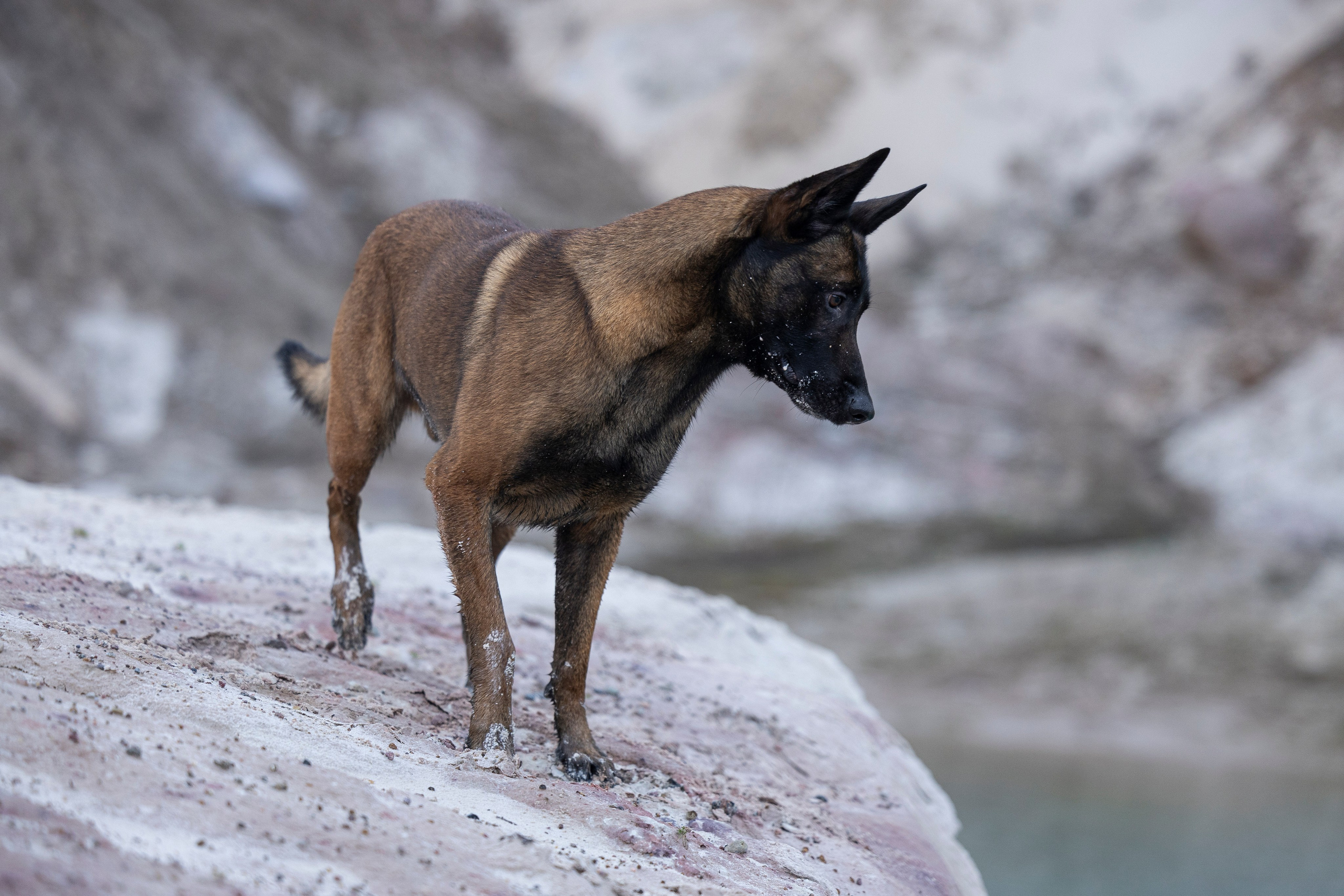 Лужские Мальдивы. Фотограф-анималист Анна Маринич