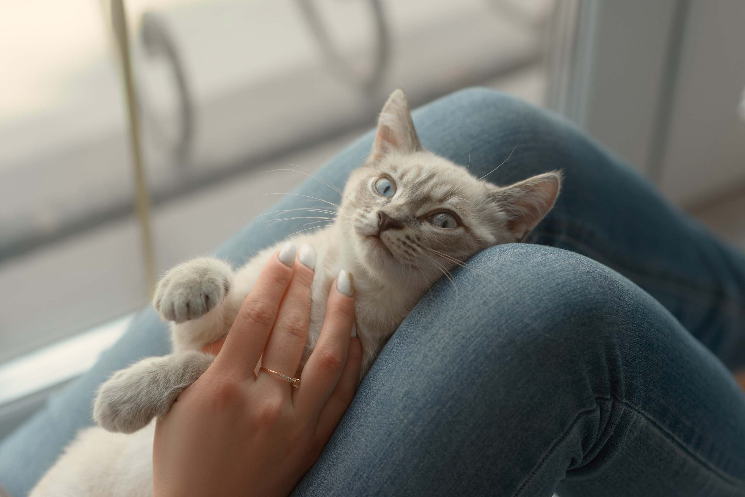 Катя. Школьный и свадебный фотограф в Сыктывкаре Никита Козлов