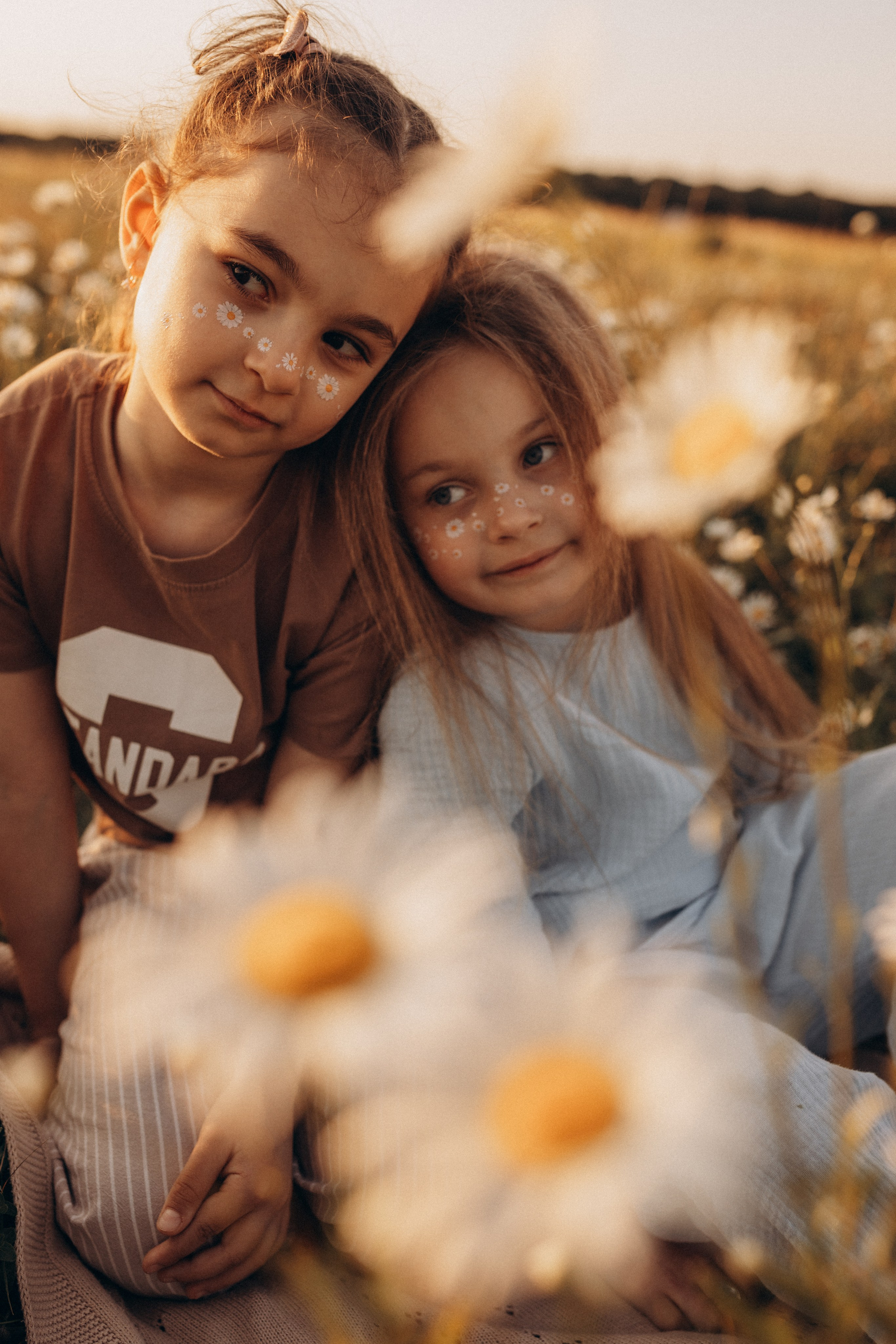 Закат на ромашковом поле. Фотограф в Ставрополе Svetlana Matveeva