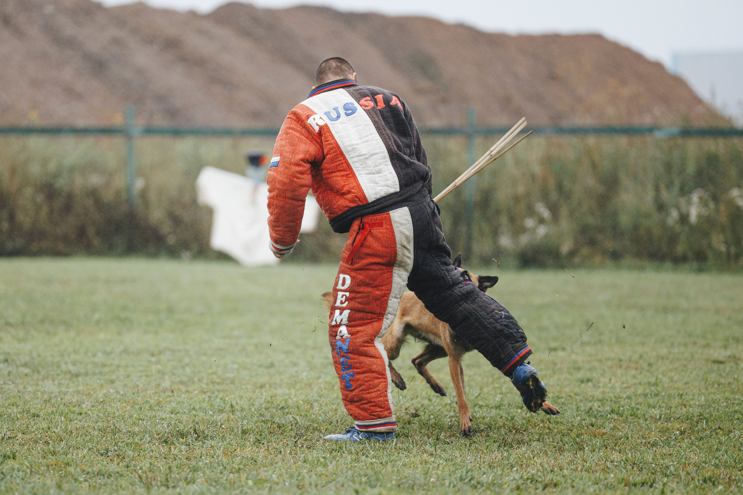 08.08.25-10.08.25 ЧР по мондьорингу г. Вологда. Фотограф-анималист Анна Маринич