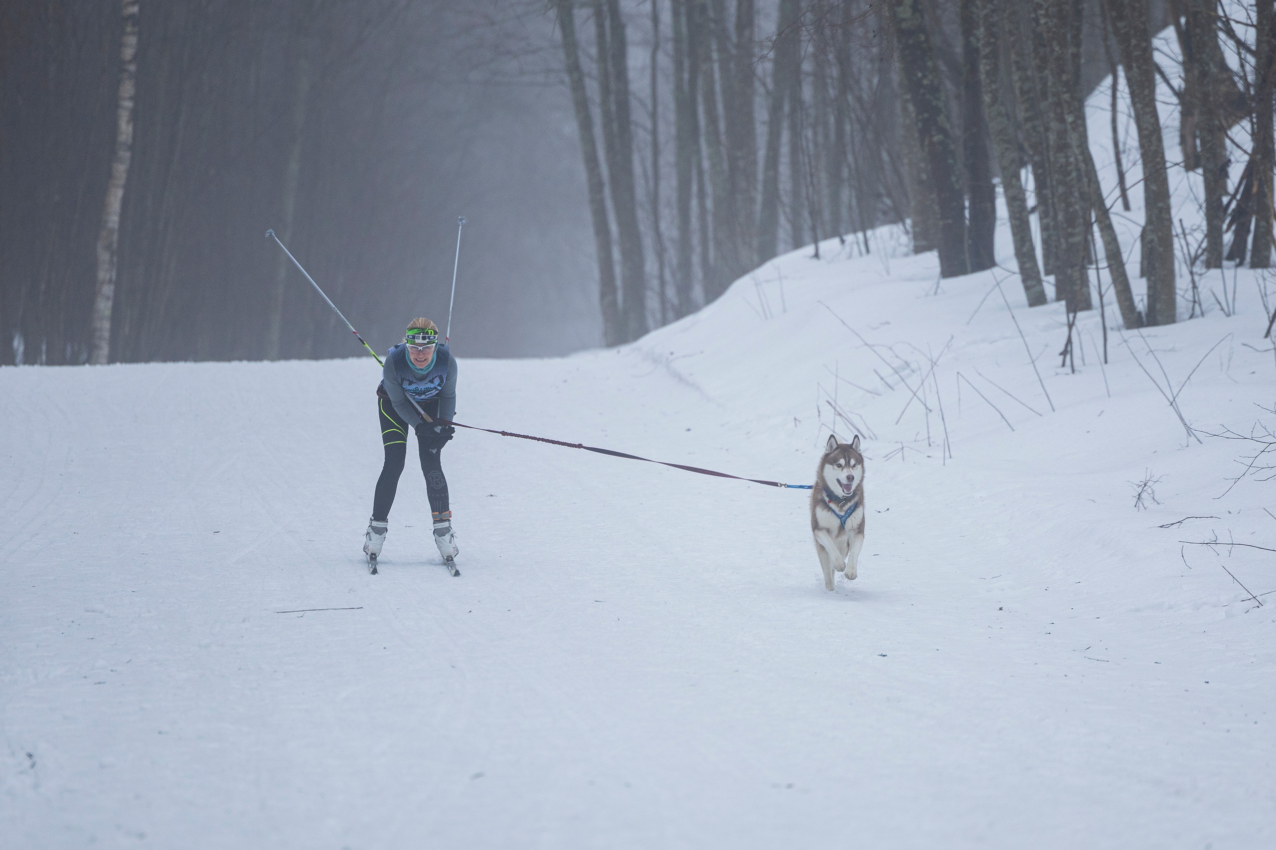 Зимний Чемпионат Санкт-Петербурга по ездовому спорту. Фотограф-анималист Анна Маринич