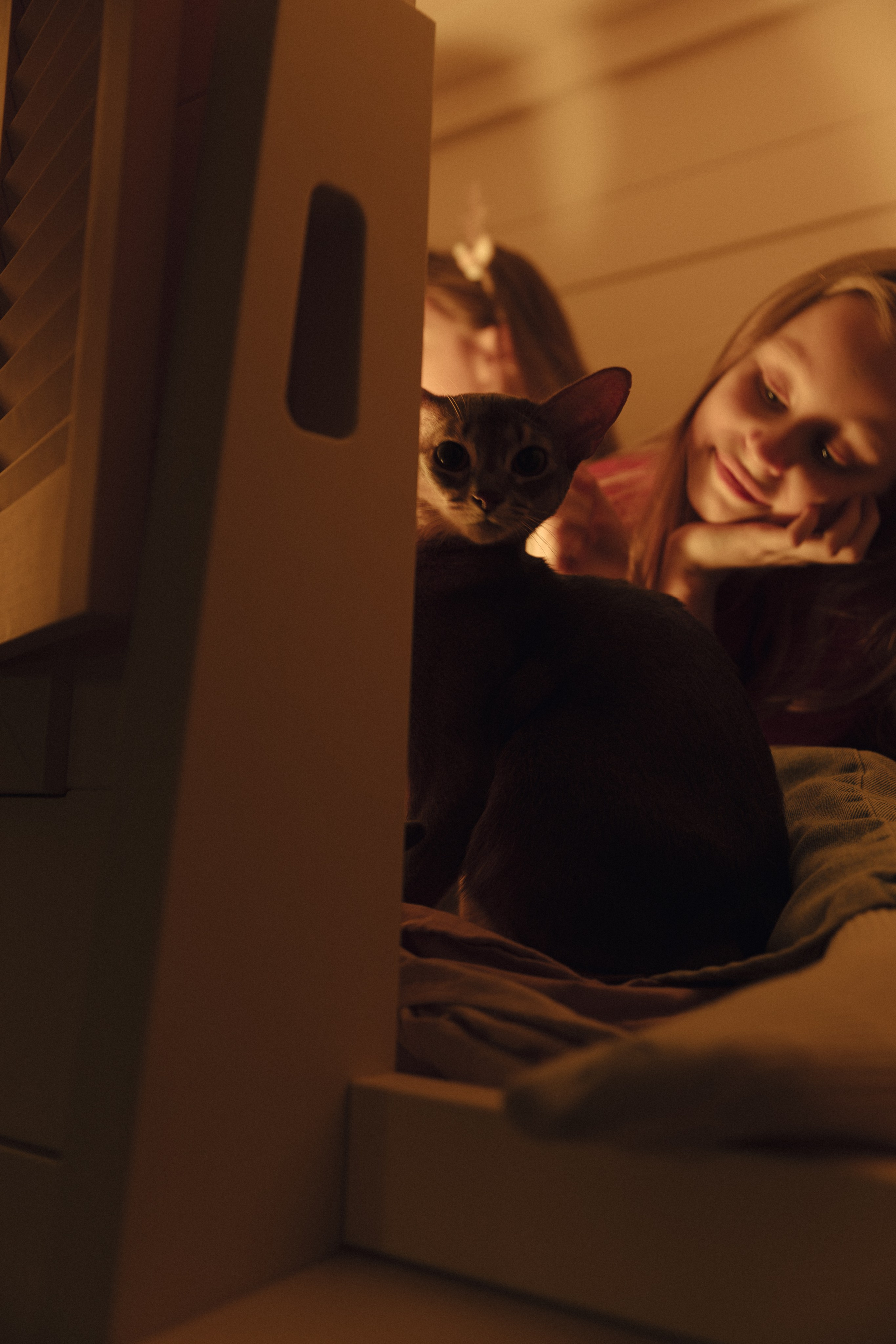 Домашний вайб. Свадебный и семейный фотограф в Красноярске Абраменко Настя