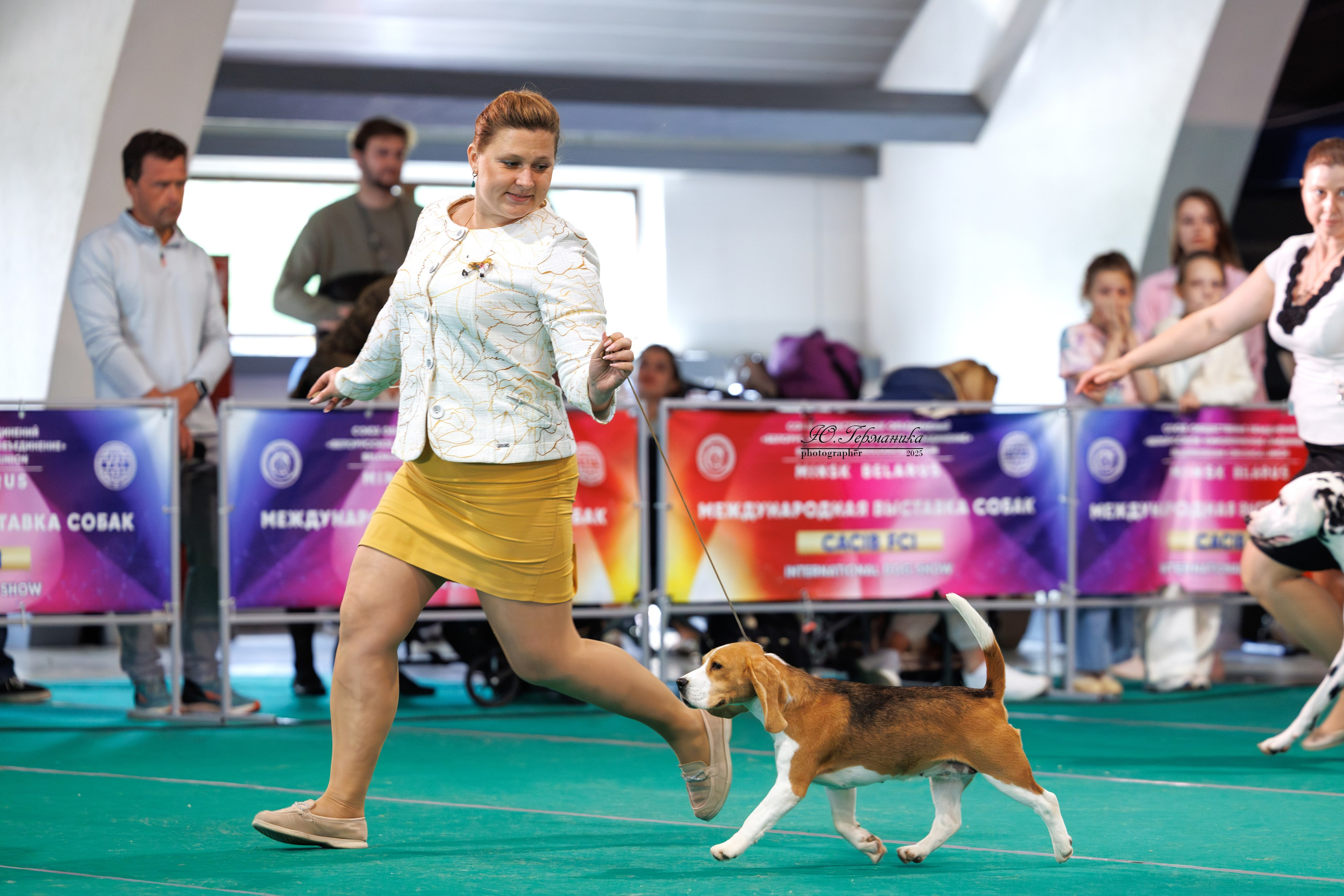 Минск 31.05-1.06.2025. Фотограф-анималист Юлия Германика