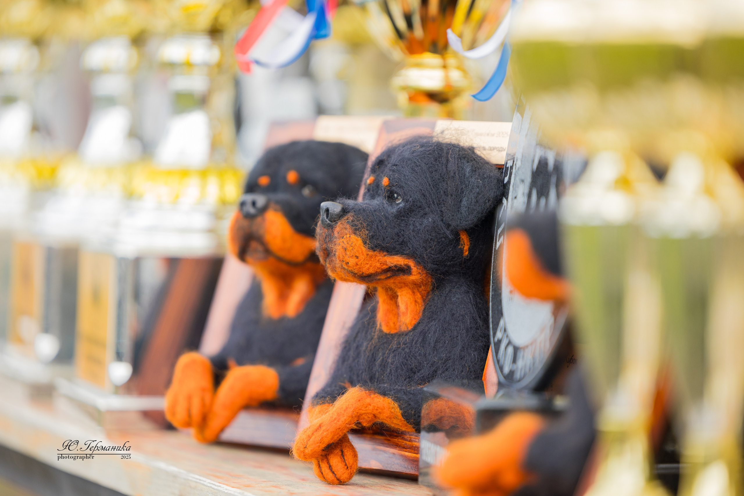 Нижний Новгород 2хмоно ротвейлеров 10-11.05.2025