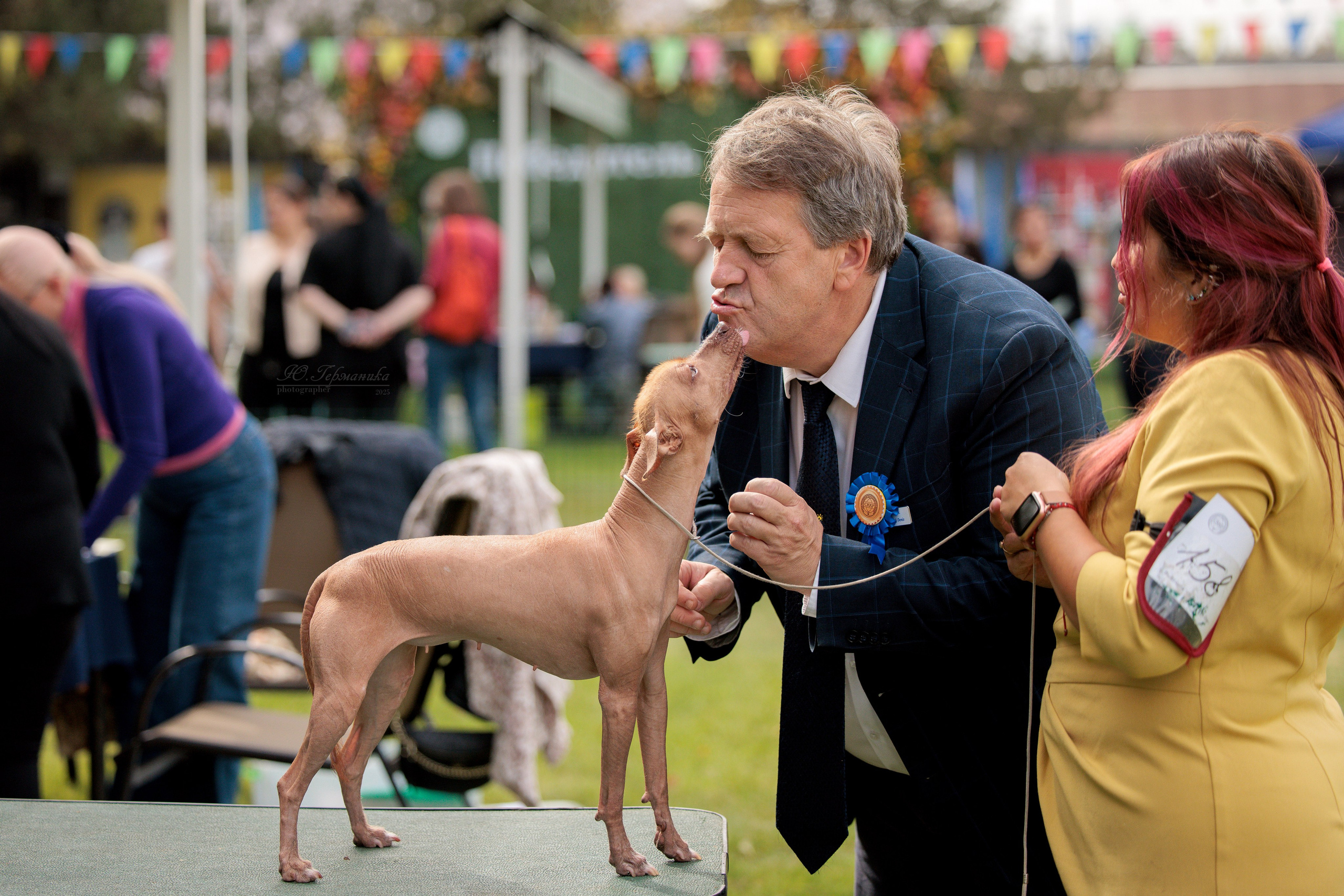 Бишкек 3х CACIB 26-28.09.2025. Фотограф-анималист Юлия Германика