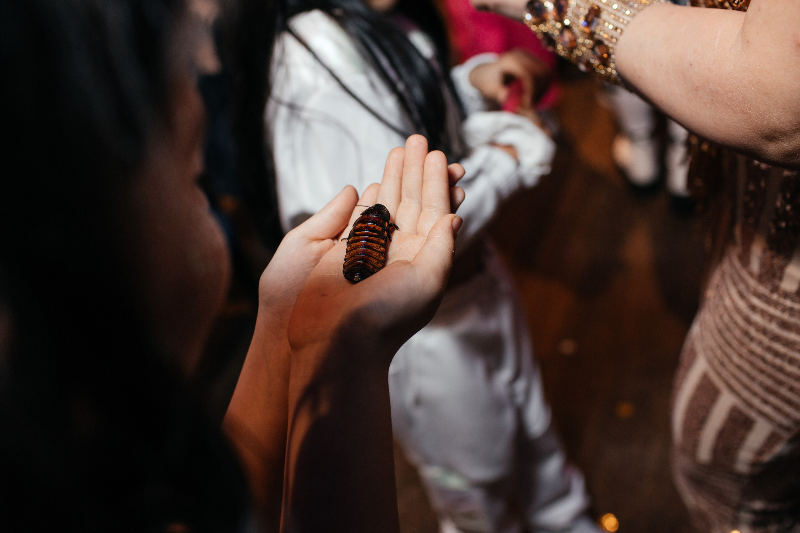 День рождения в Небо на Ладони. Свадебный и семейный фотограф