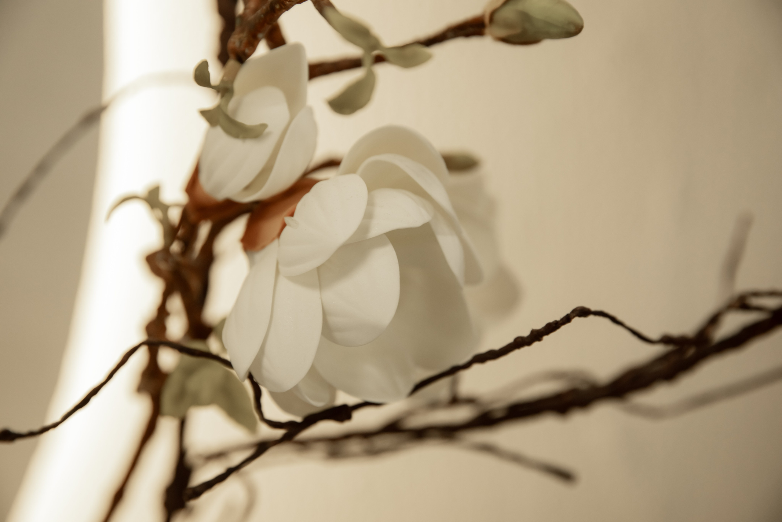 NATGO| Презентация Новой Коллекции. Фотограф брендов и бизнеса в Москве Алексей Сентюрин