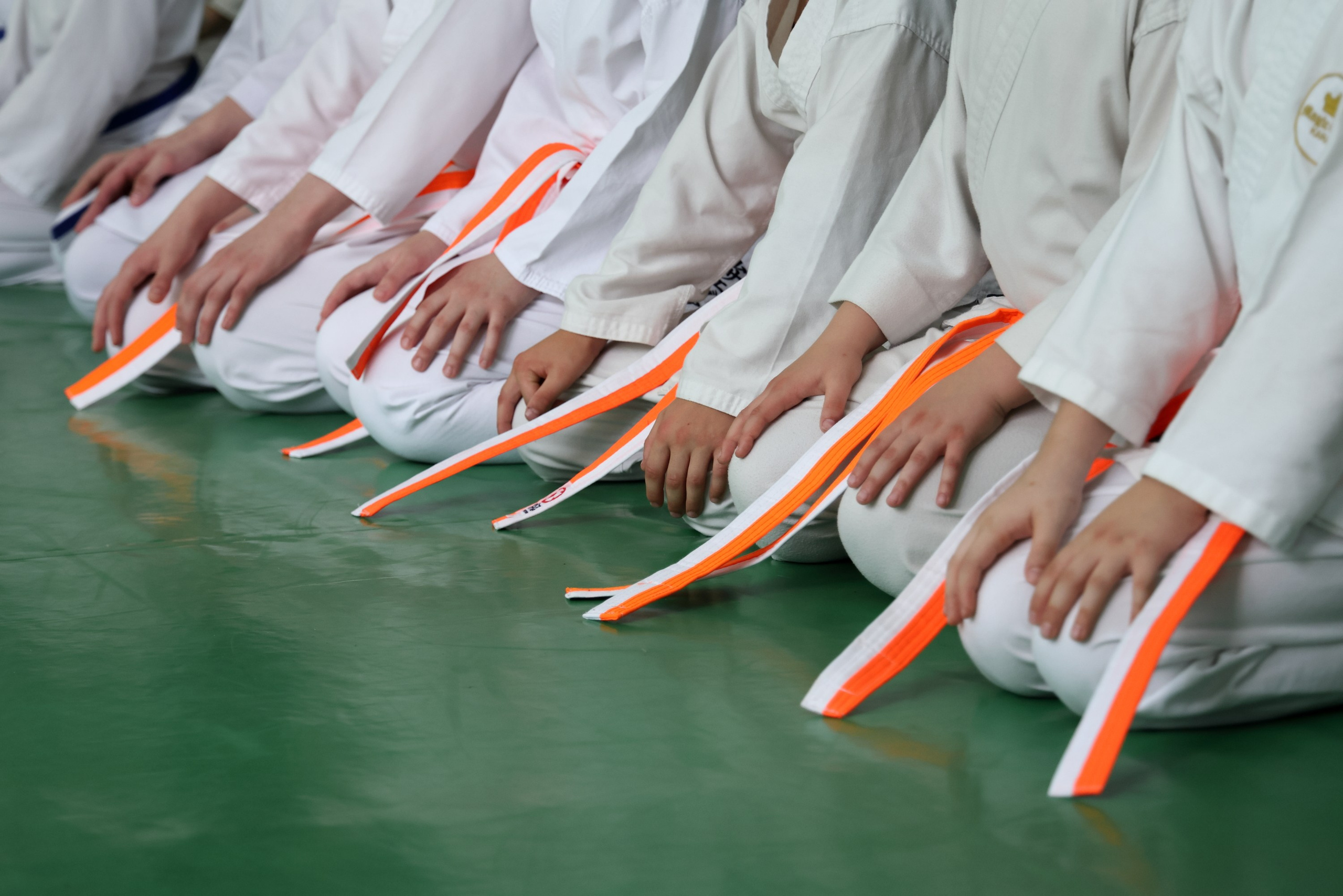 Вручение поясов в школе Окинава каратэ. Спортивный и репортажный фотограф Ермакова Светлана