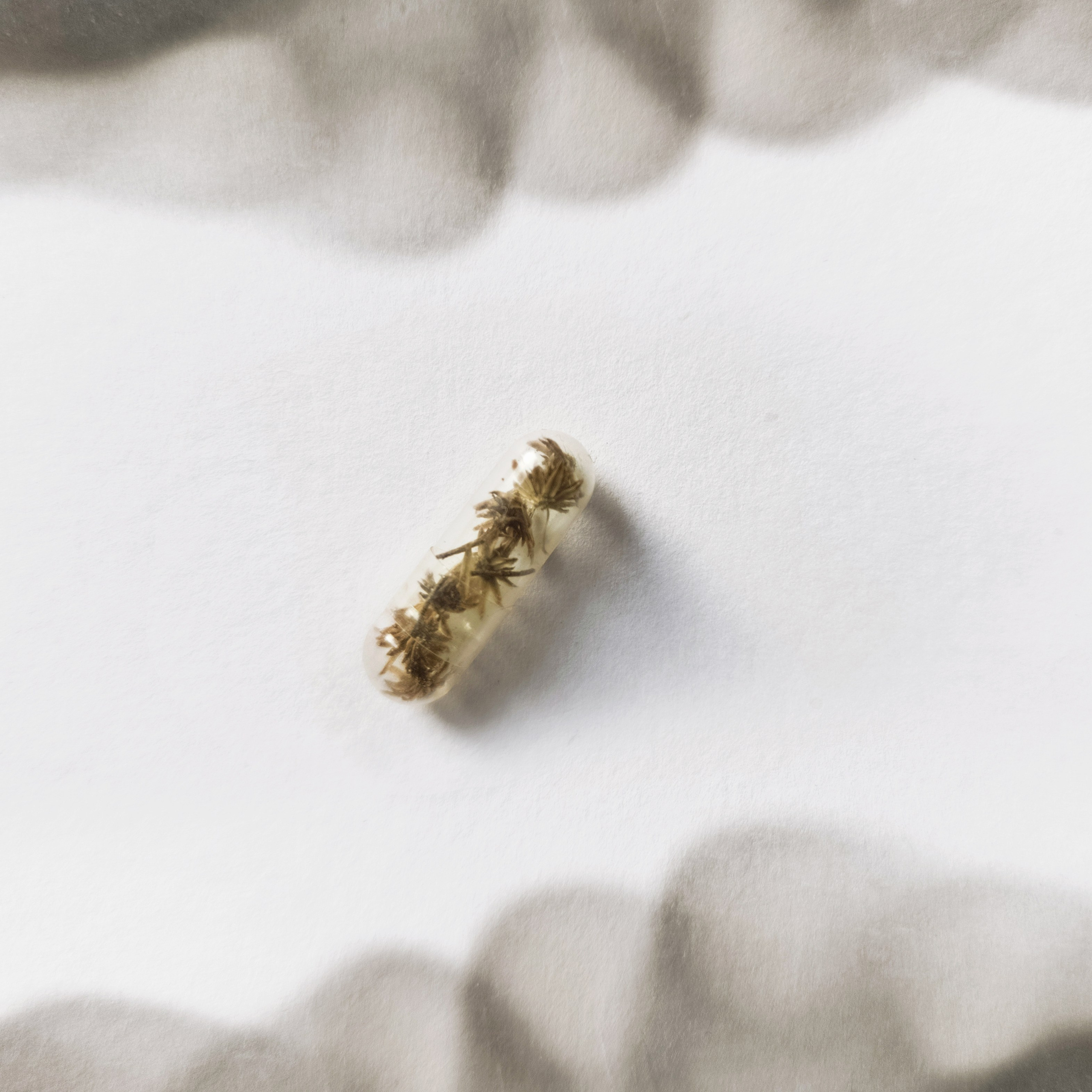 Выгорание / Burnout. Visual artist Olga Burmistrova