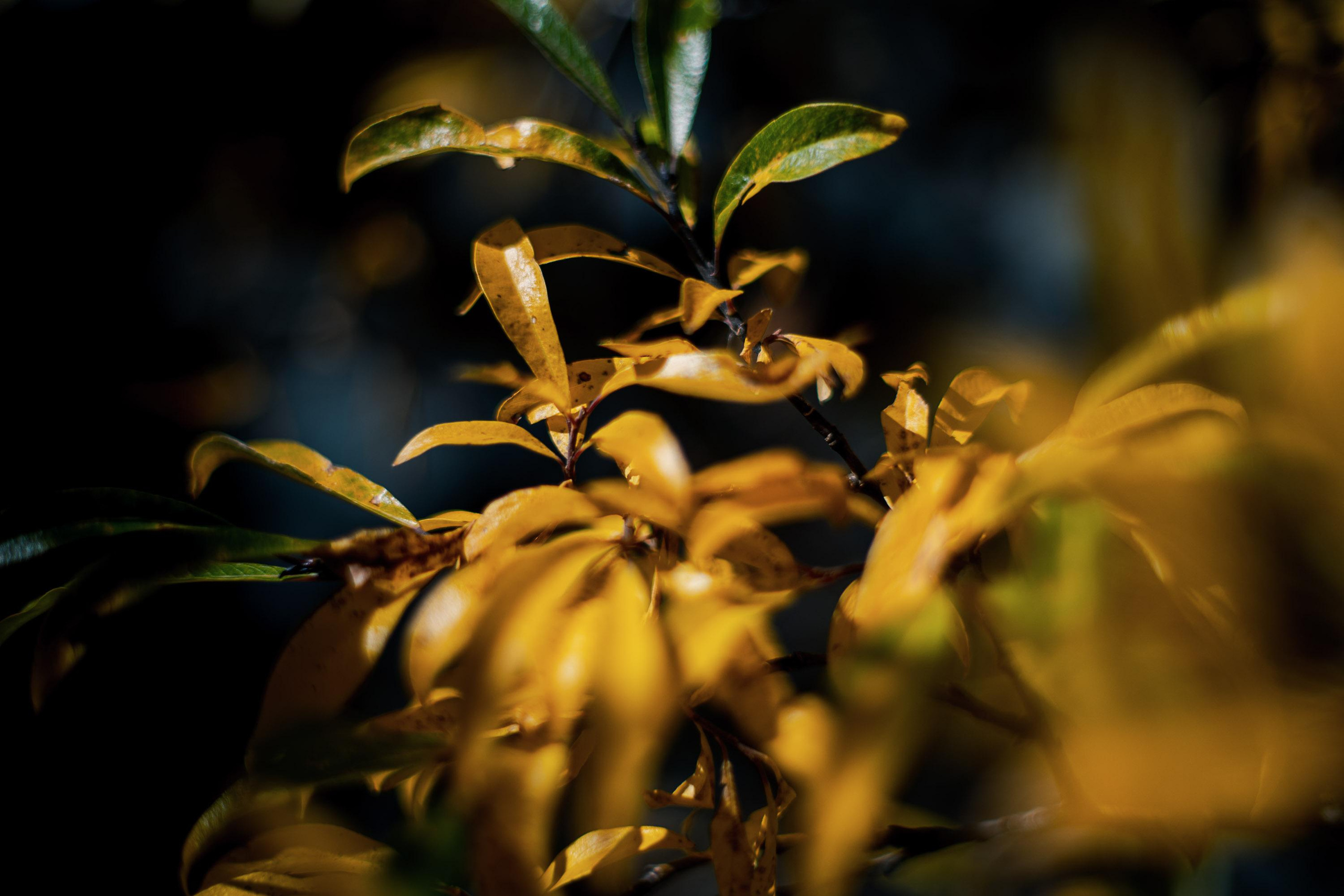 Горный Алтай: фотопутешествие