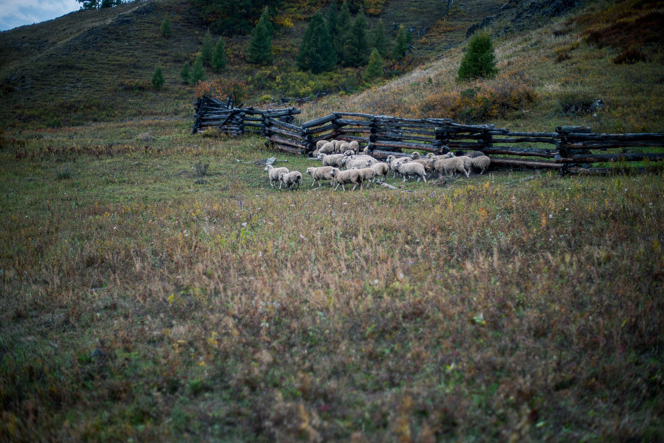 Горный Алтай: фотопутешествие