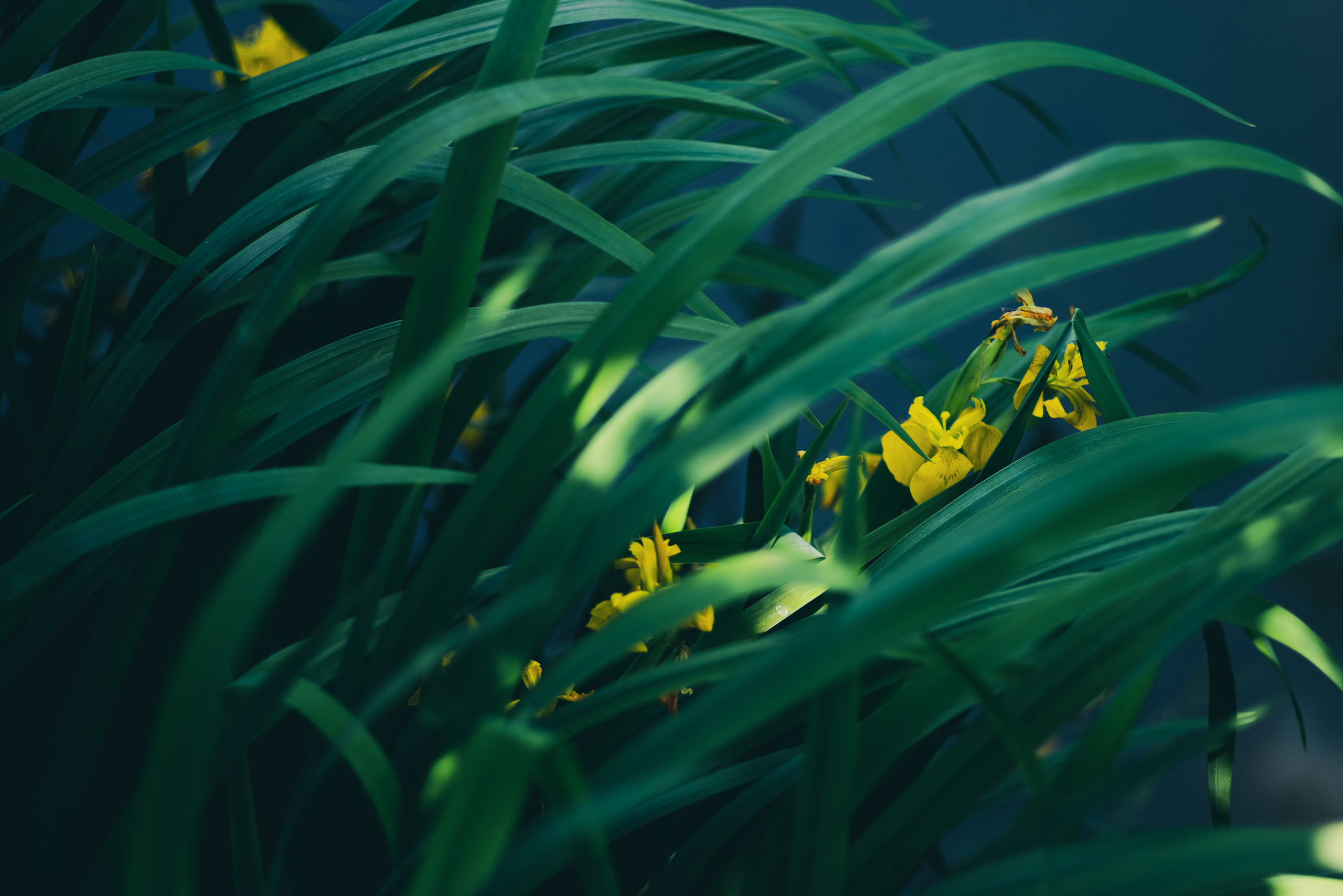 Фотосессии с детьми и семейные съемки