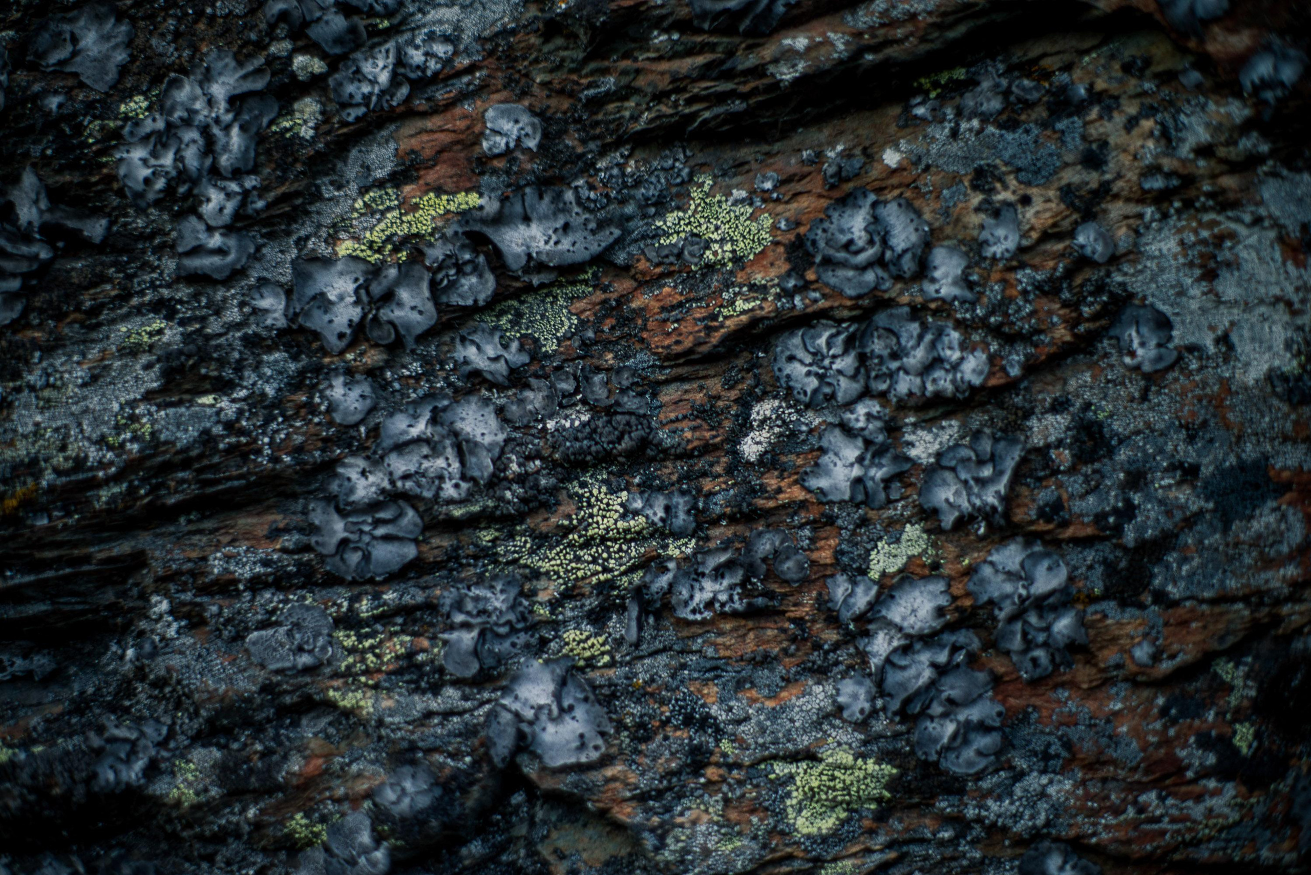 Горный Алтай: фотопутешествие