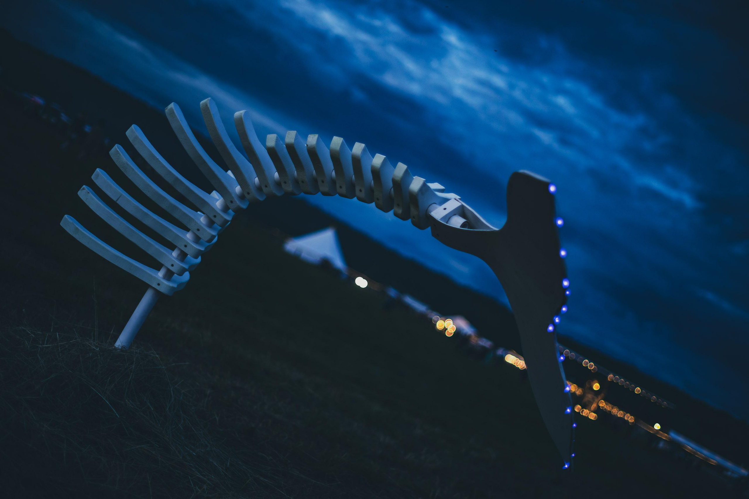 Insomnia X | Бессонница, фестиваль