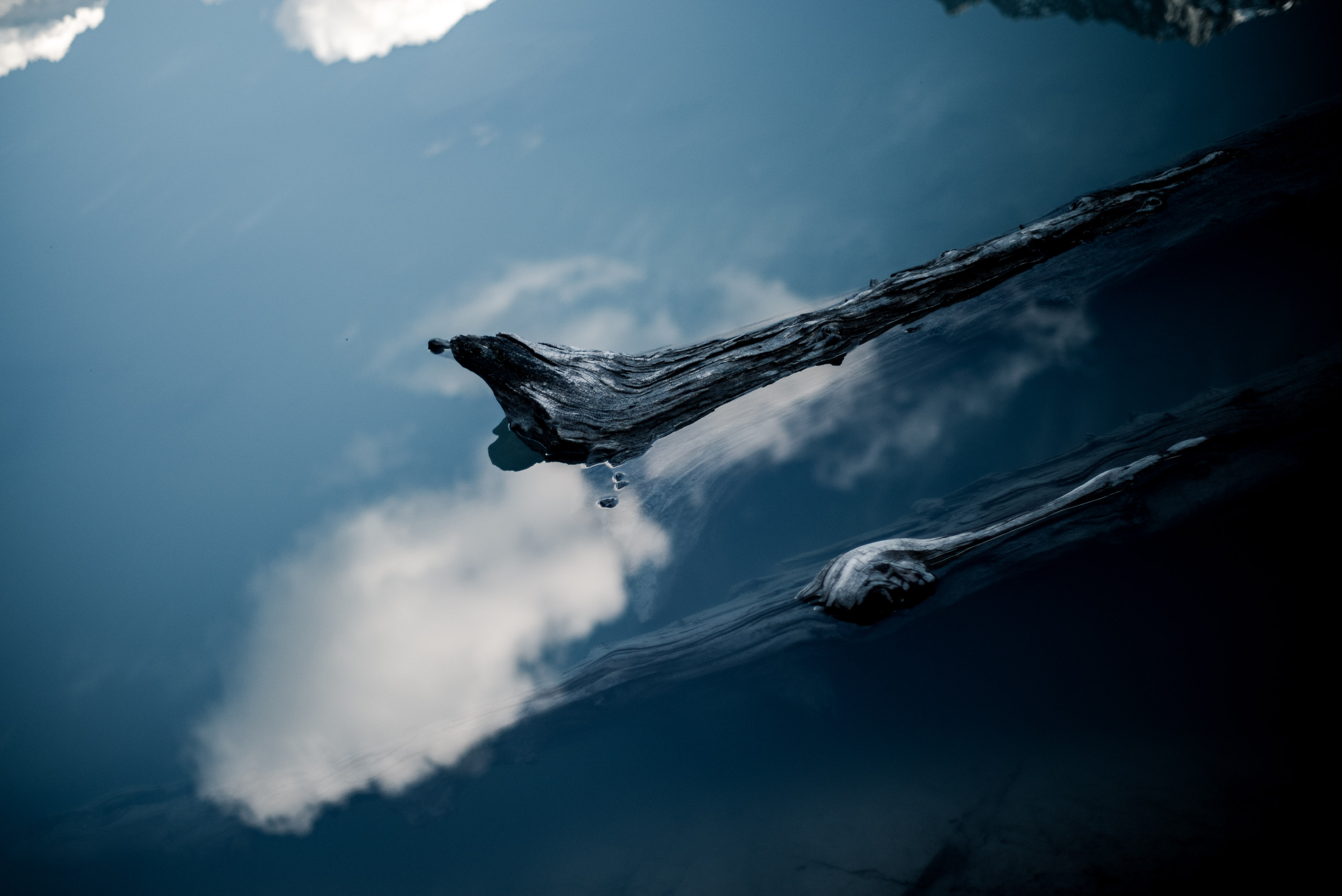 Впечатления Алтая