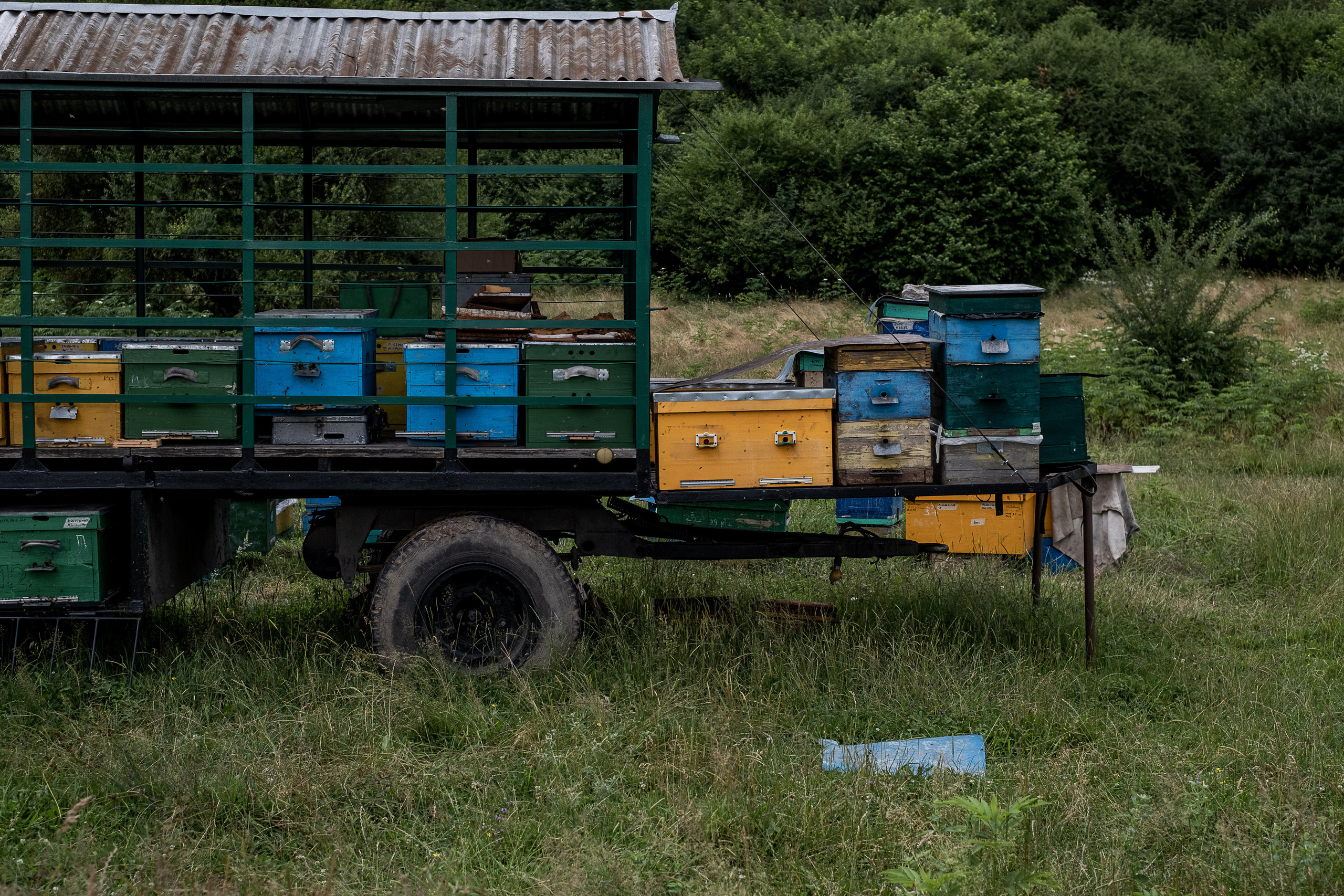 Северная Осетия, ландшафты