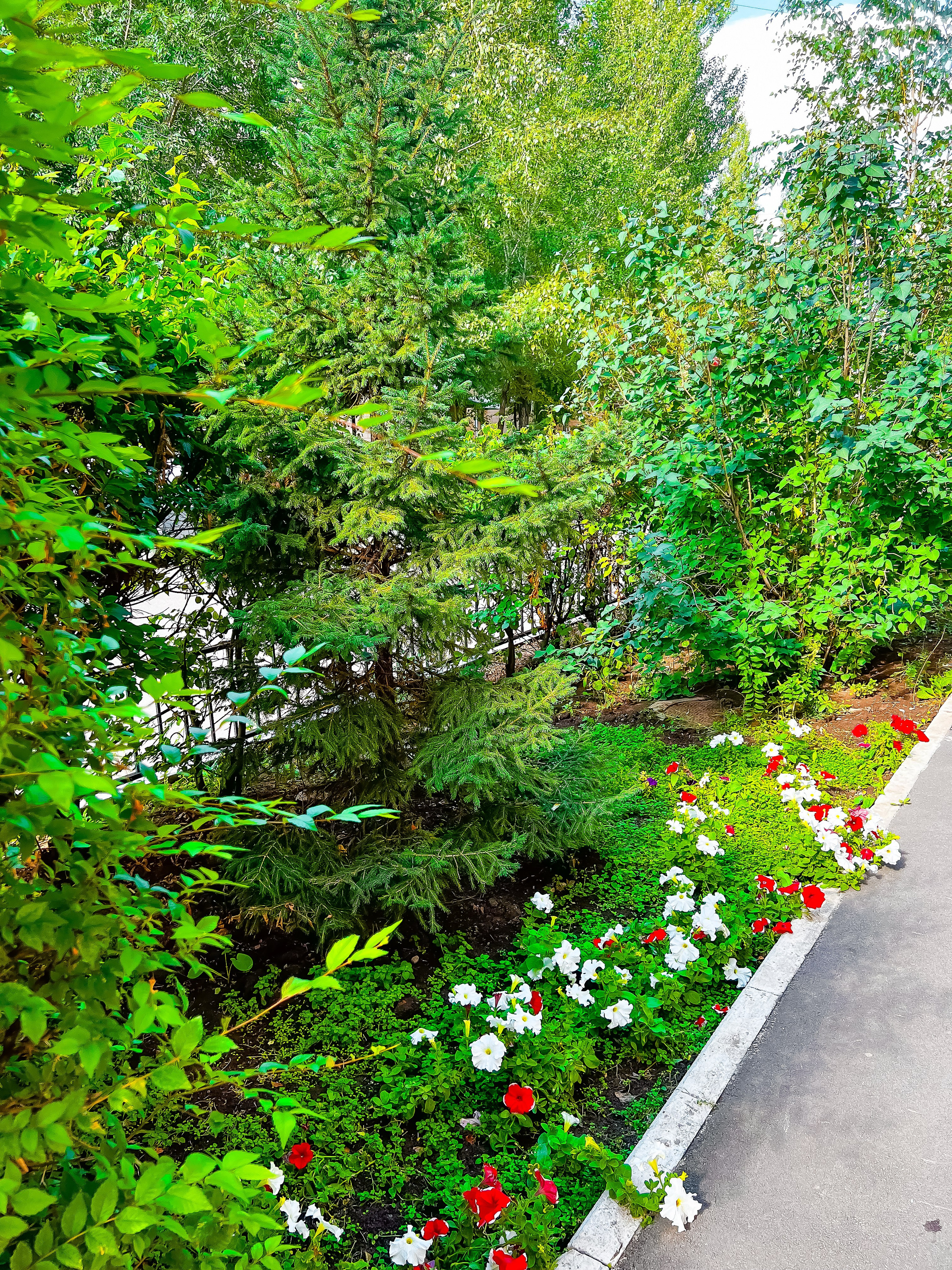 Пример четыре. Семейный и Свадебный фотограф в Астане Александр Астапов