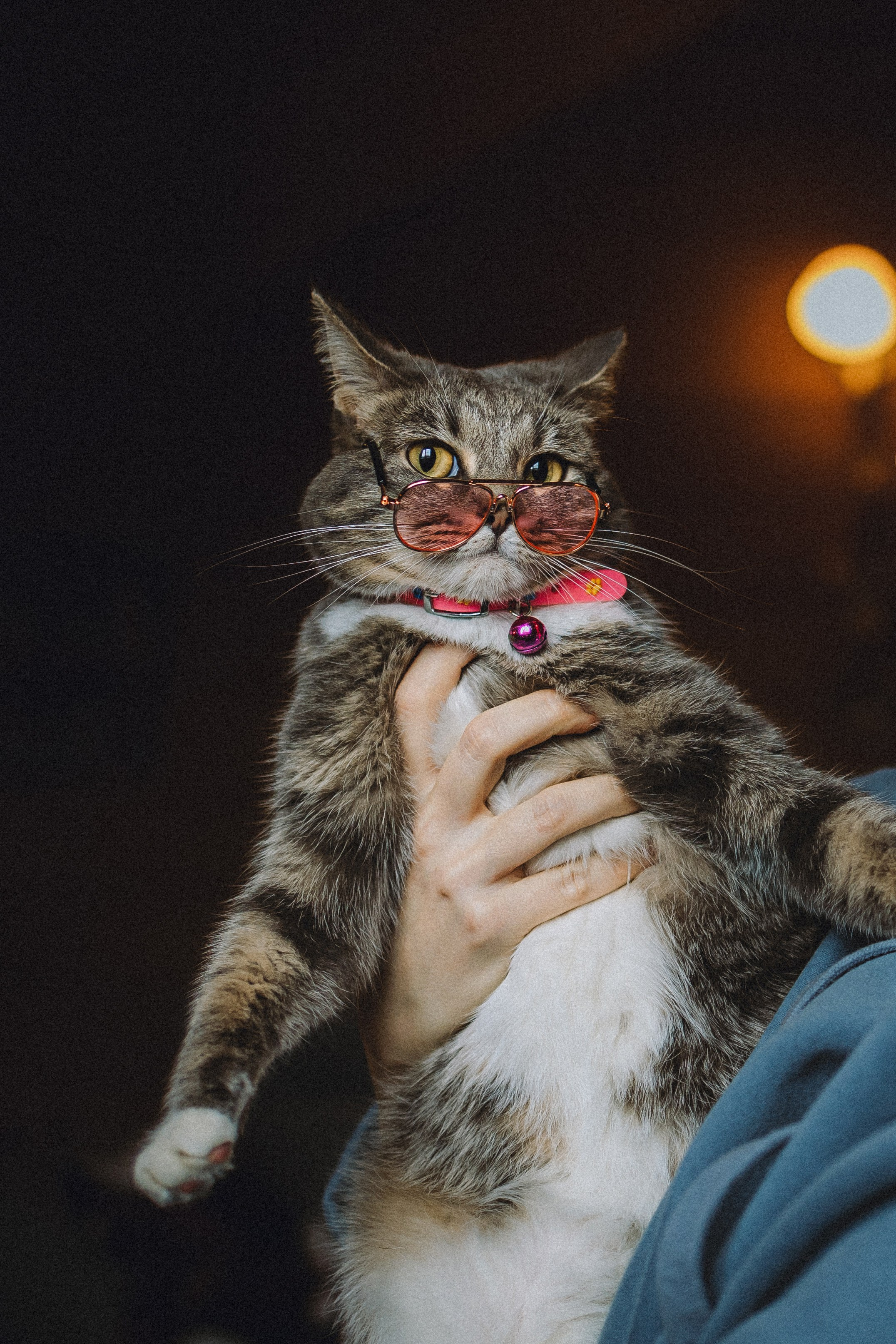 Леброн, Муся и их семья