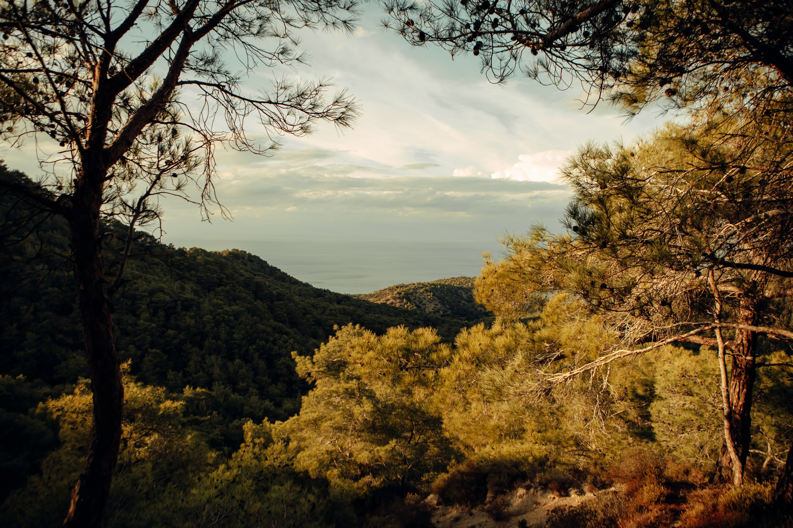 Birthday. Фотограф в Батуми Павел Шарников