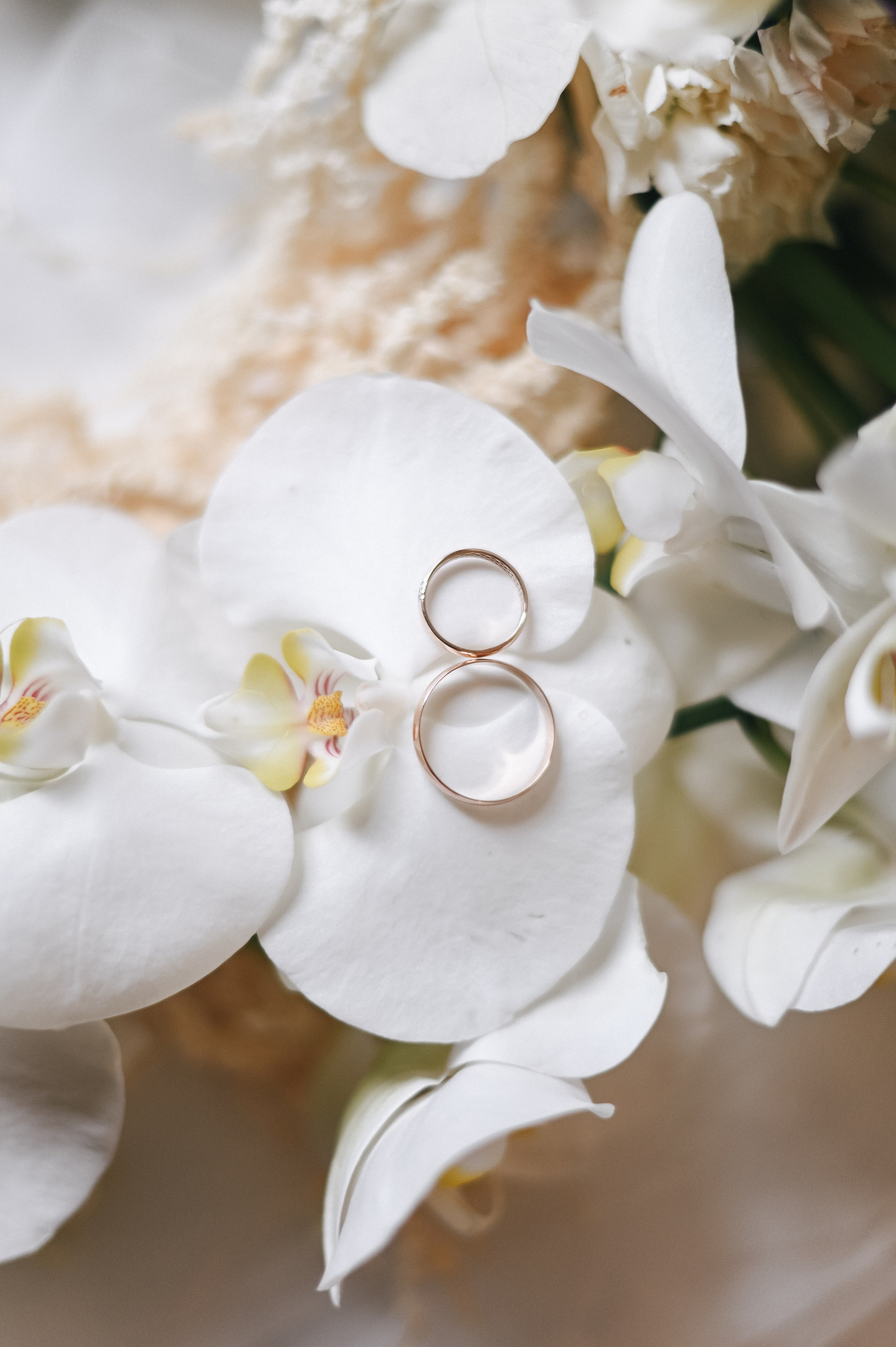 Эдуард + Валерия. Свадебный и семейный фотограф Волгоград Москва