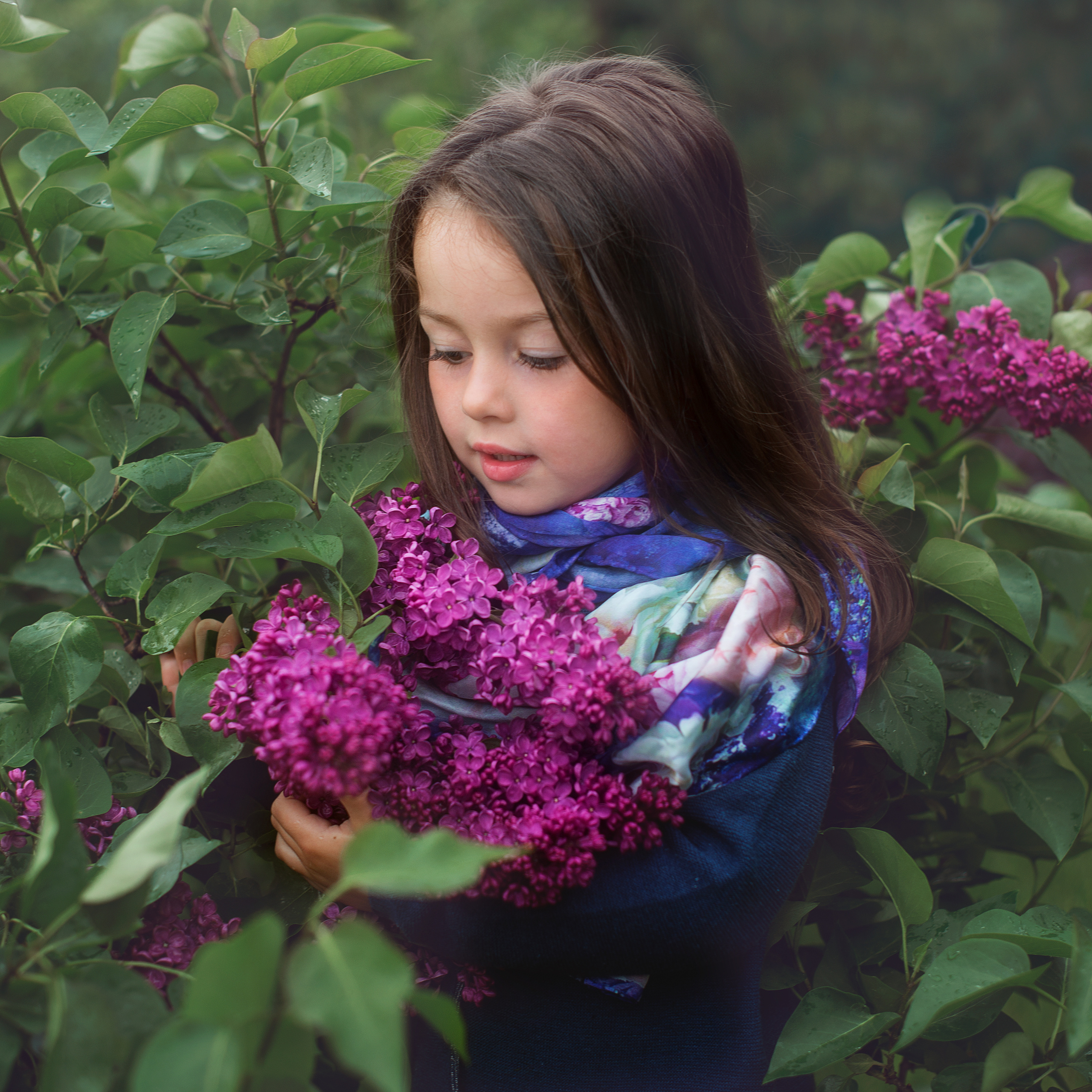 девочка с сиренью 