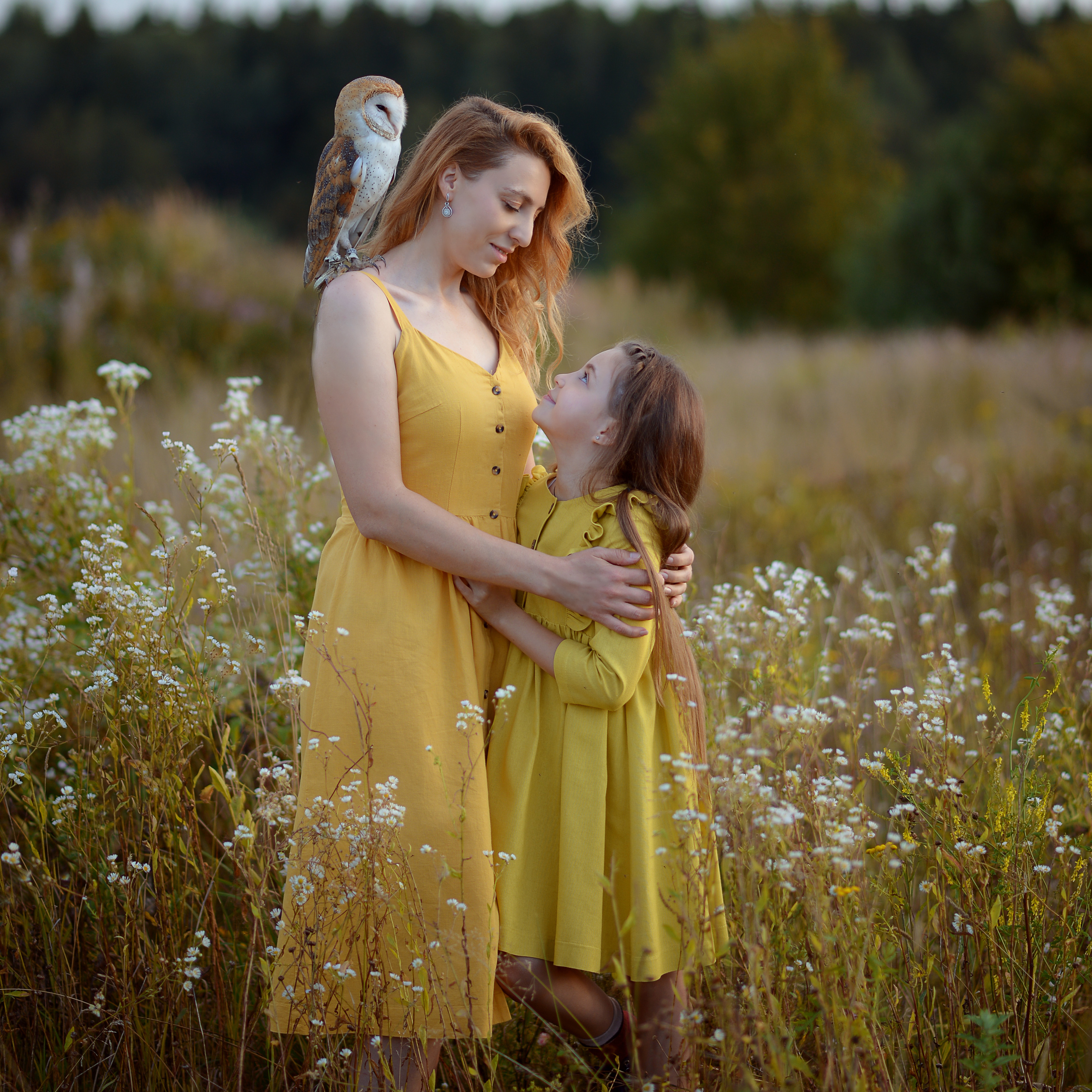 мама и дочка в поле летом с совой сипухой 
