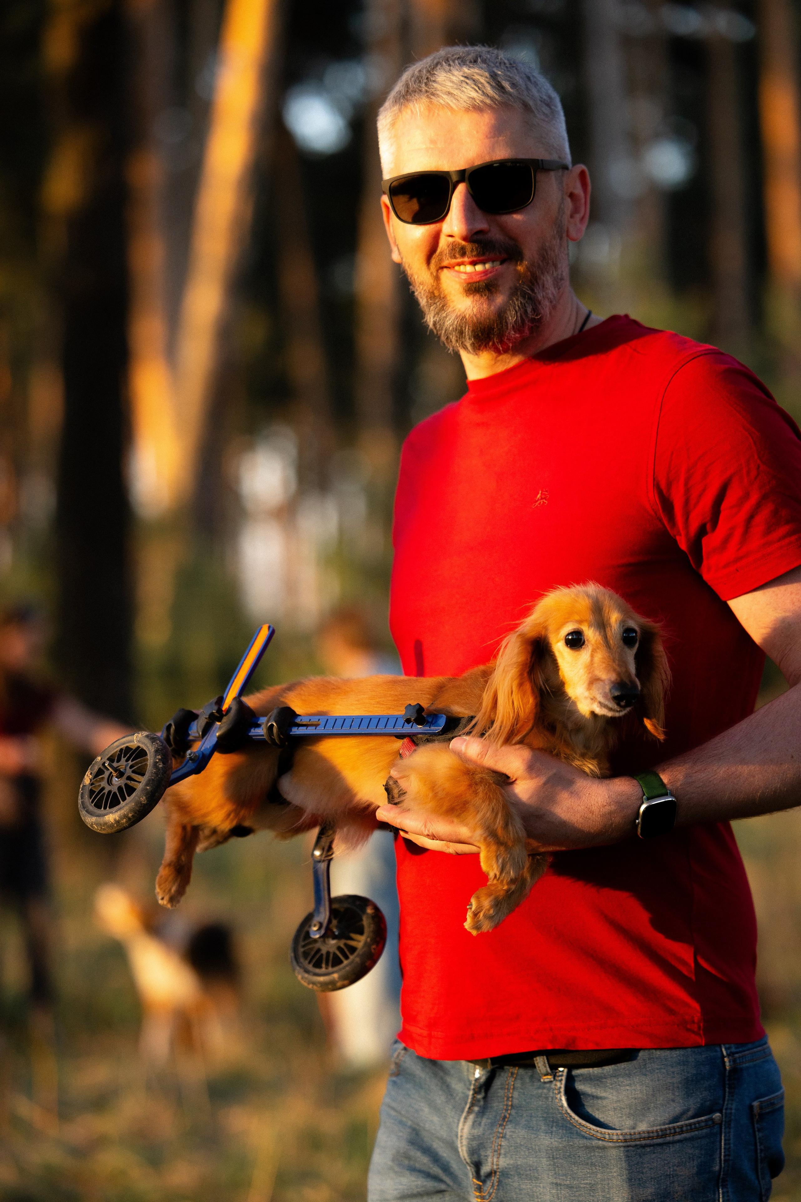 Разношерстная компания. Фотограф и видеограф анималист Аганина Дарья