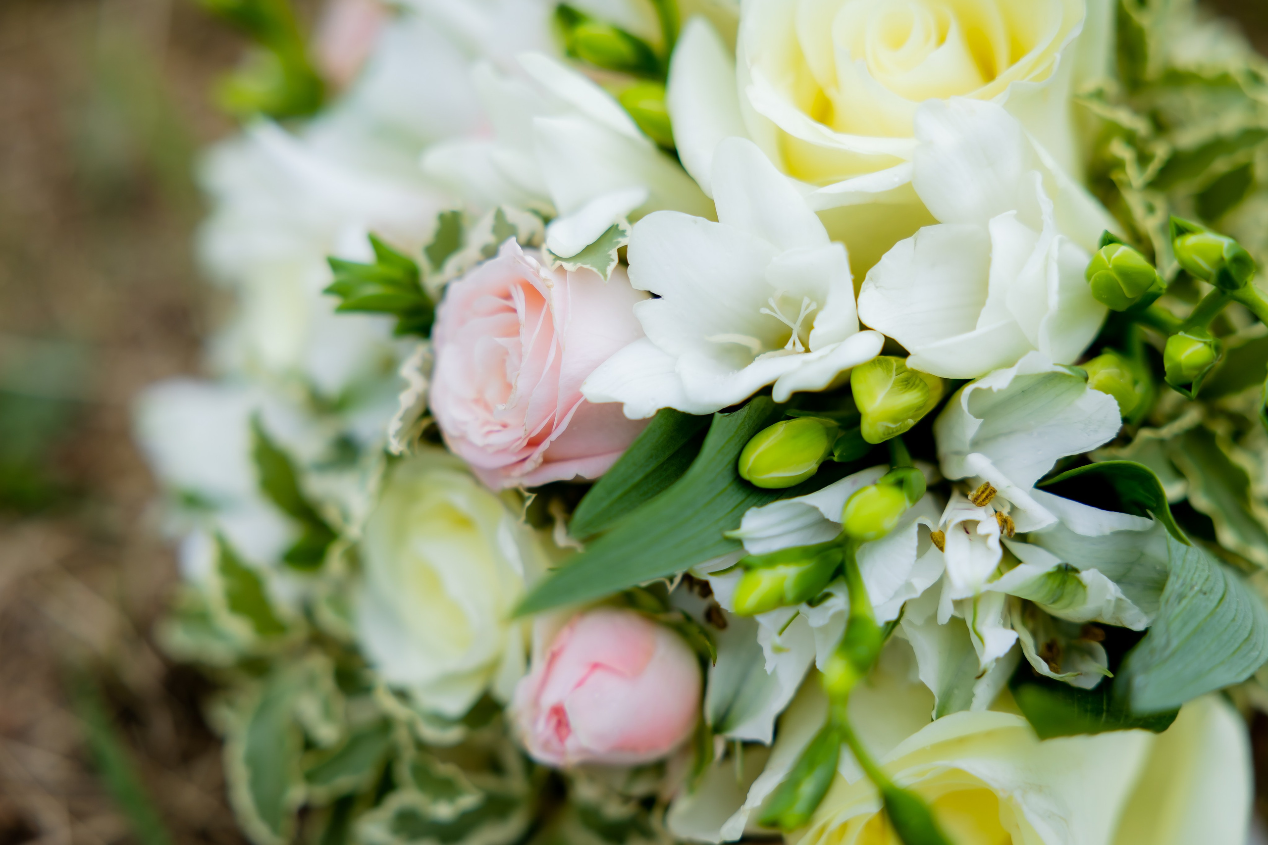 Свадебная фотосессия