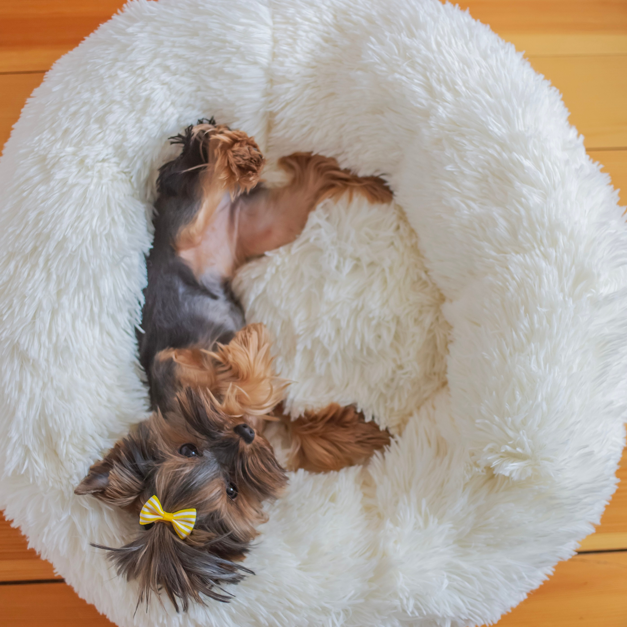 Предметная съемка. Семейный и детский фотограф в Москве и МО — Александра
