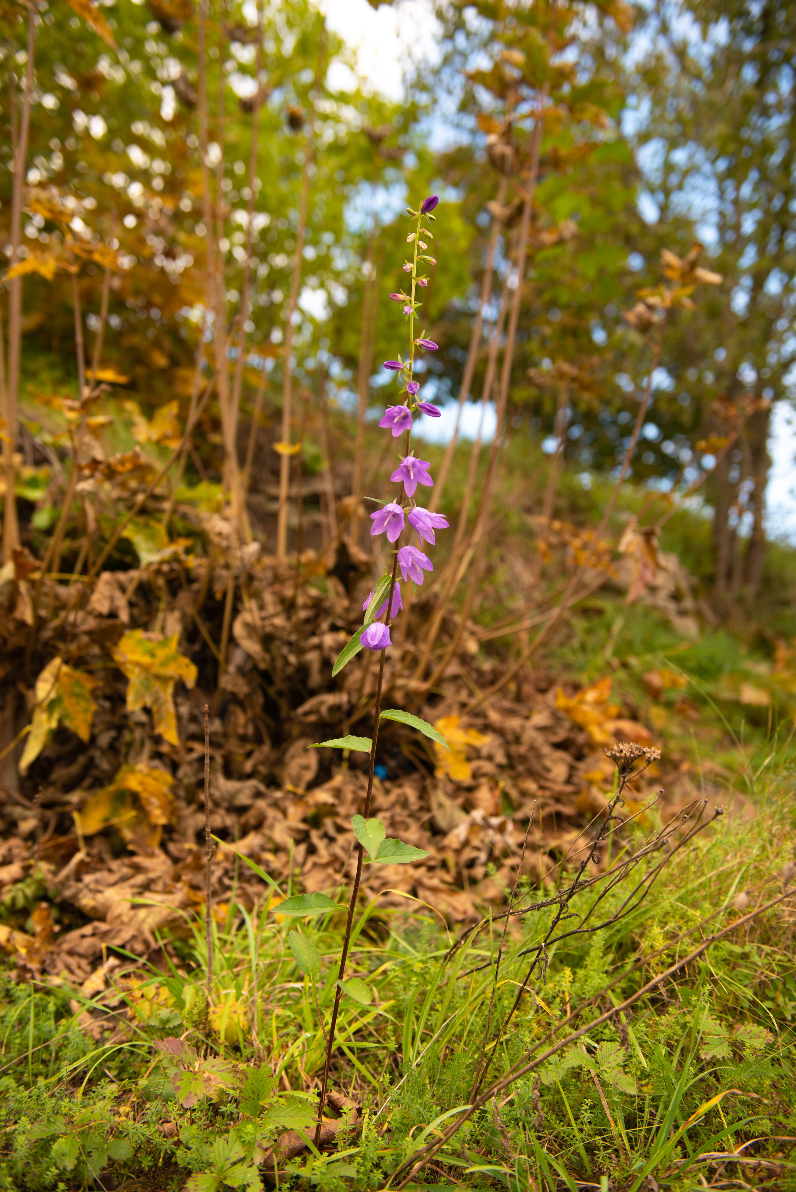 Изборск. Портретный и архитектурный фотограф в Москве и Санкт-Петербурге