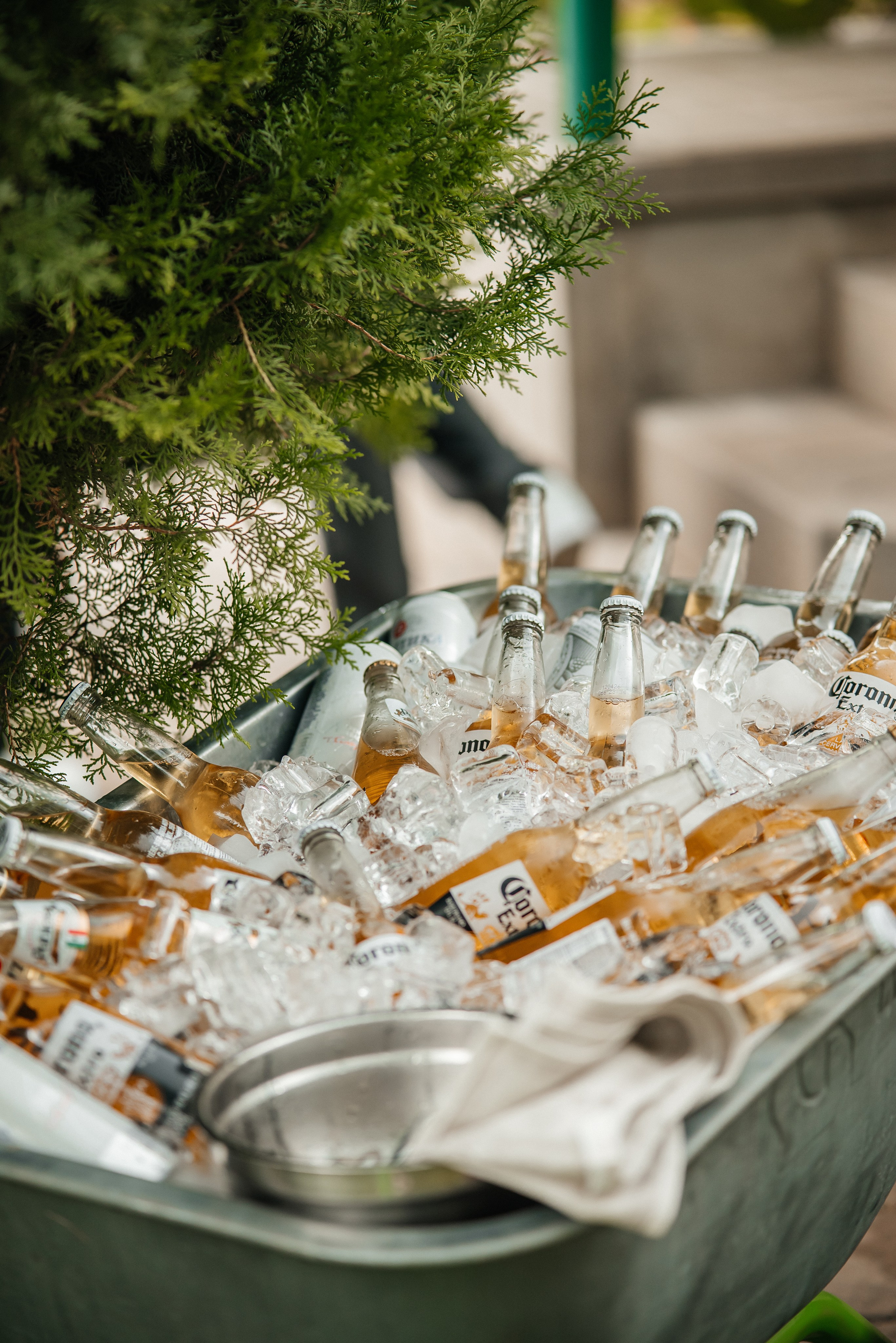 «Свадьба Даши и Артема». Школьный фотограф в Валуйках. Фотосессии для выпускников и изготовление выпускных альбомов в городе Валуйки и в Белгородской области