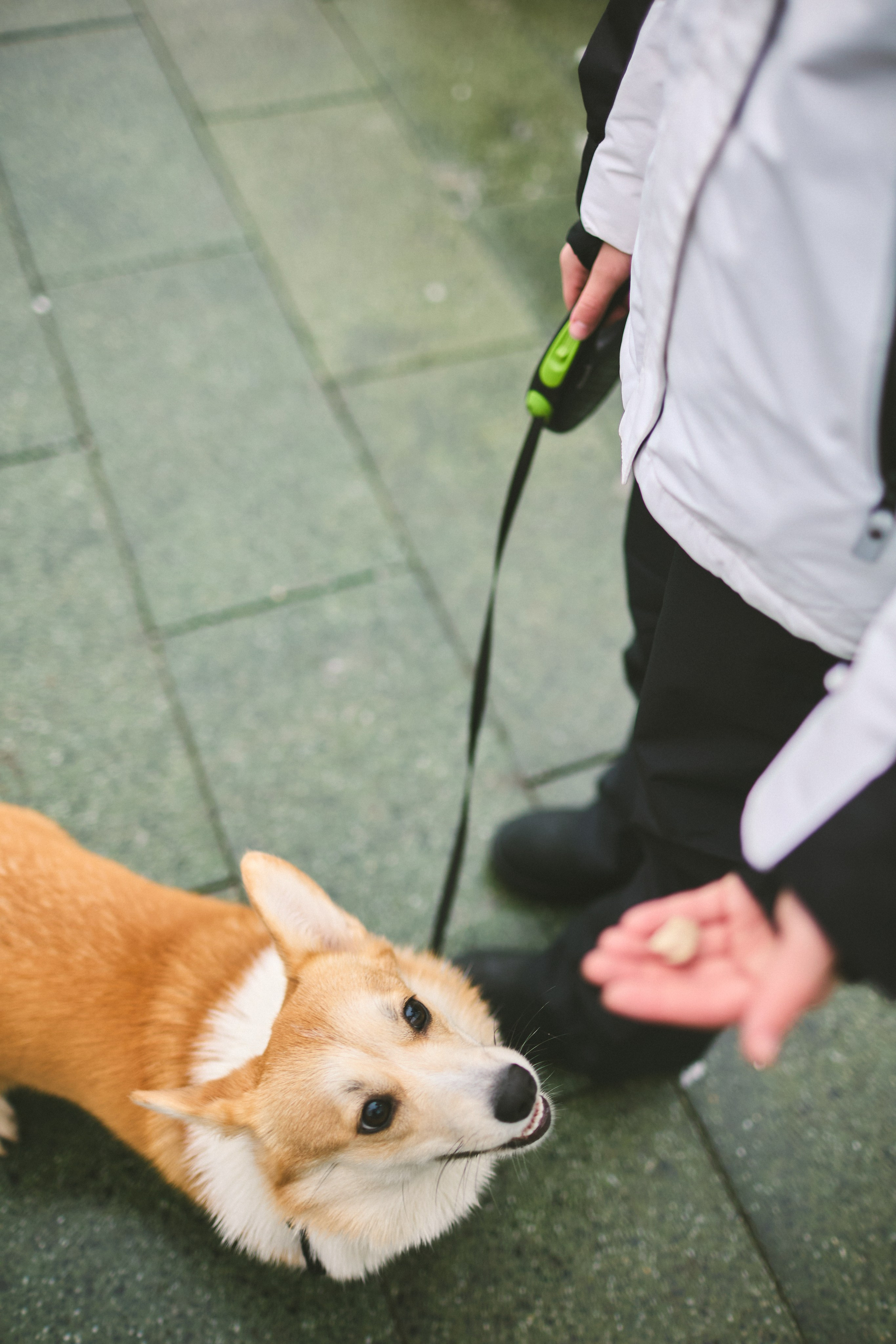 FAMILY 2.0. Фотограф Мария Сивохина