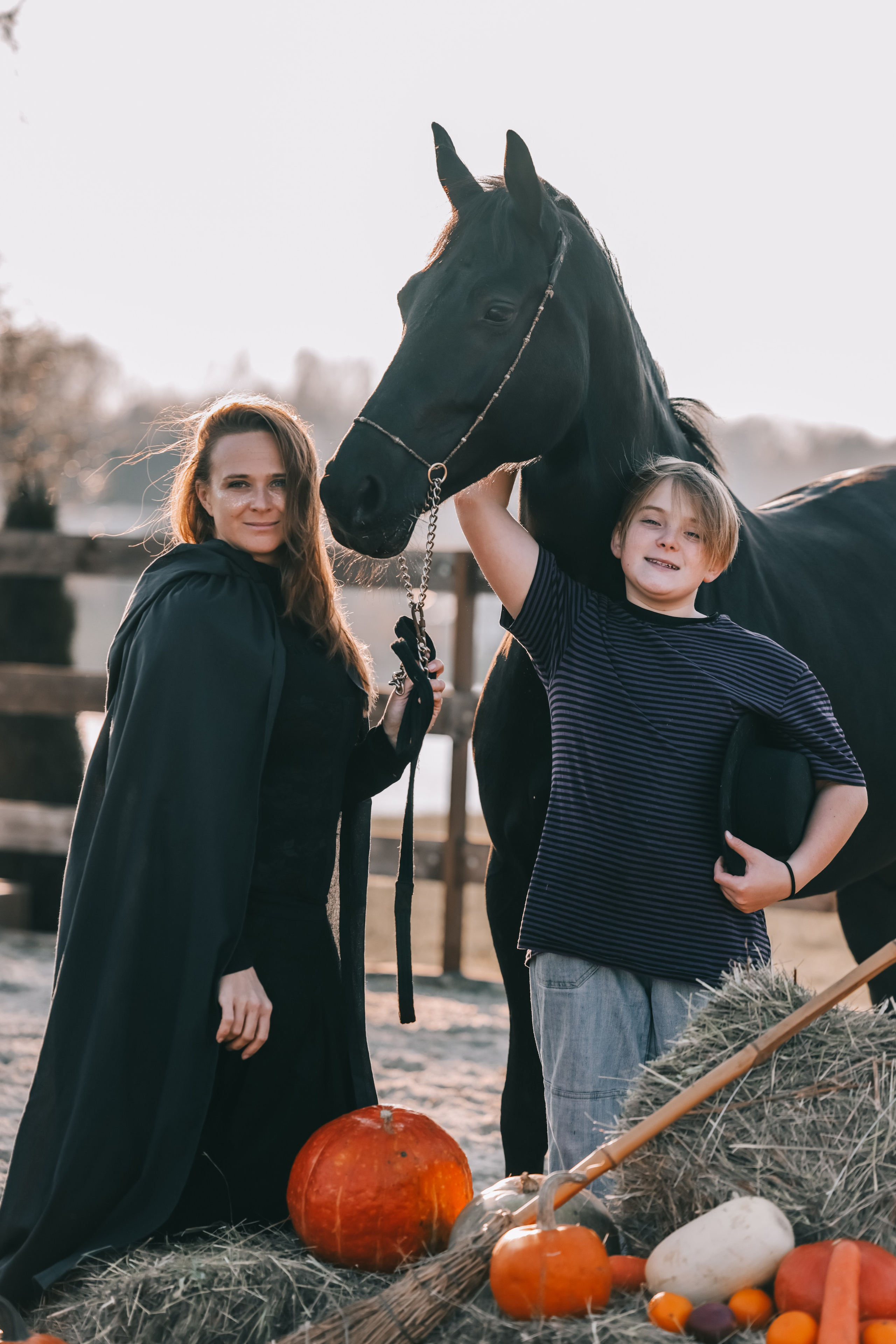 КСК Ждановское фотосессия. Фотосессии с лошадьми