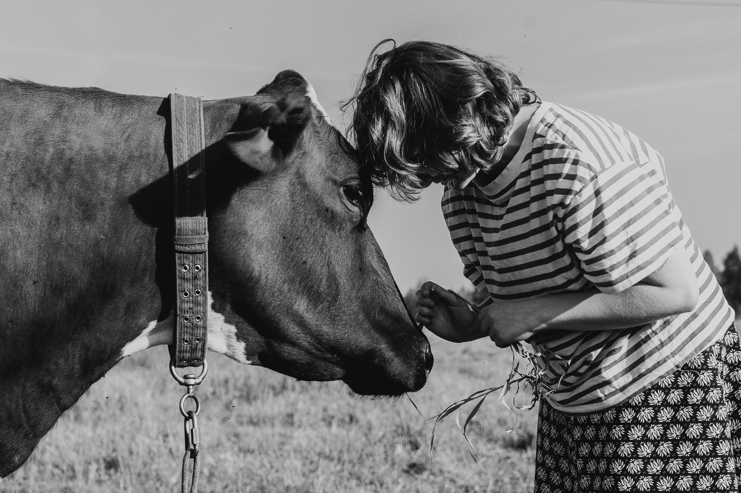 Боярка. Денис Марков — фотограф в Екатеринбурге