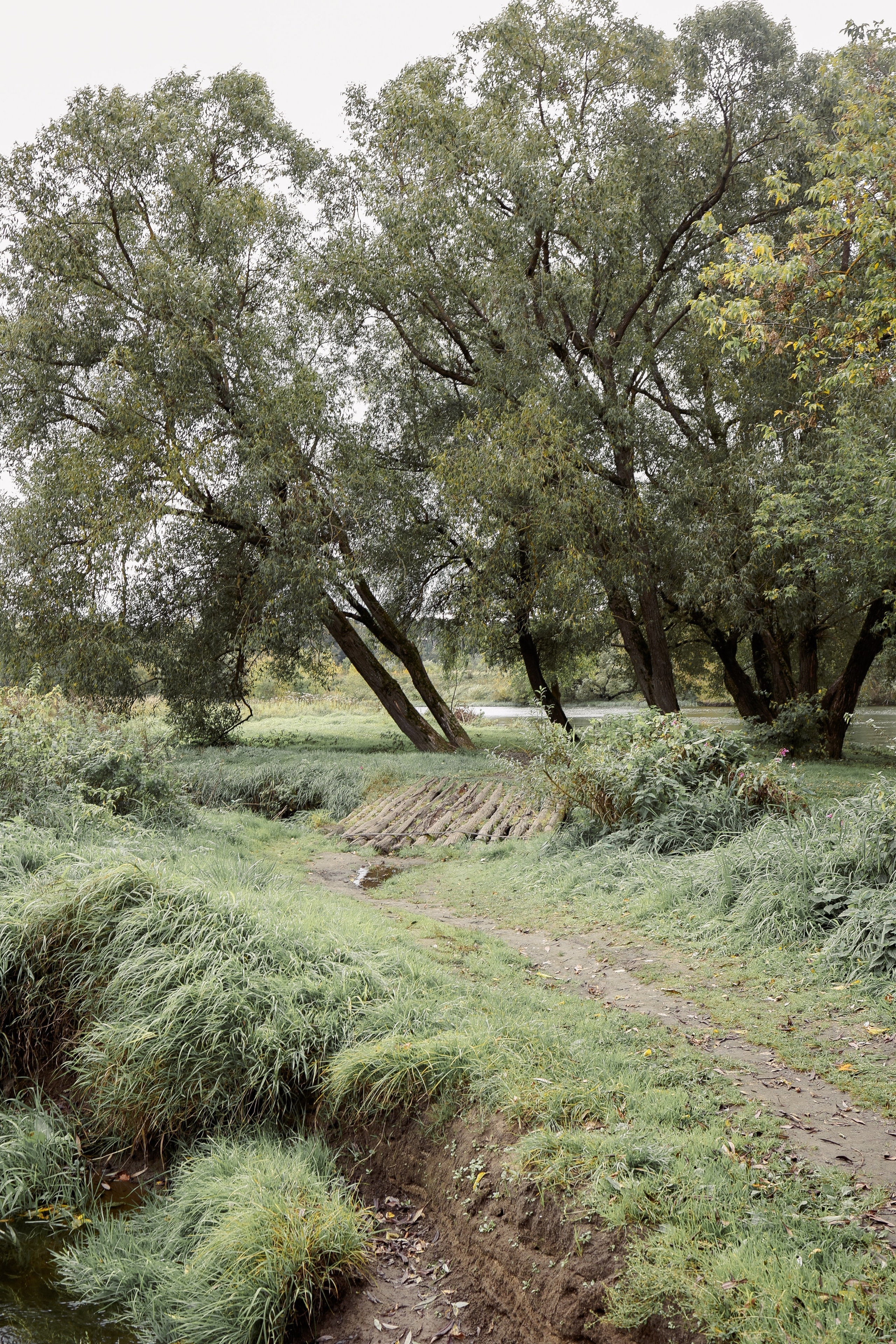 Осенняя прогулка. Фотограф на Новой риге и в Москве Елена Елис